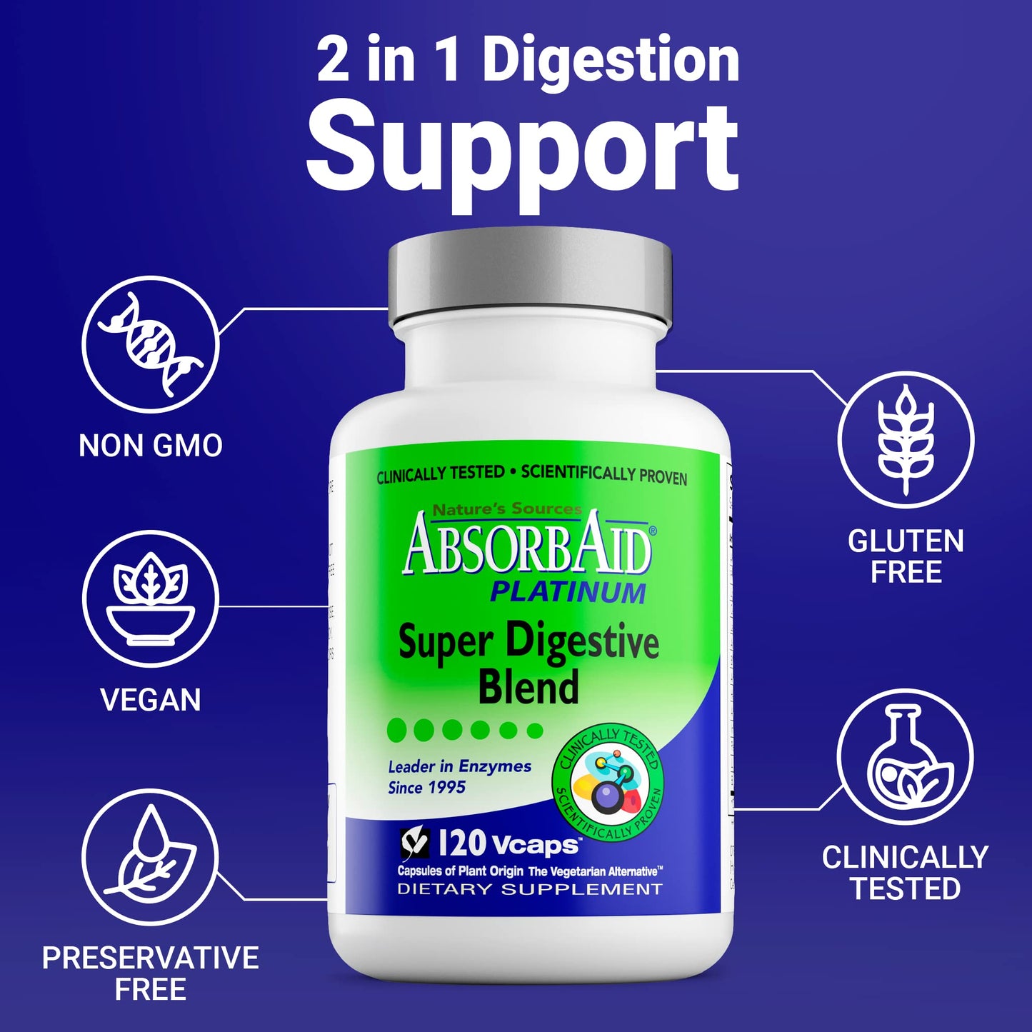 AbsorbAid Platinum Digestive Enzyme Support Capsules 120 Count