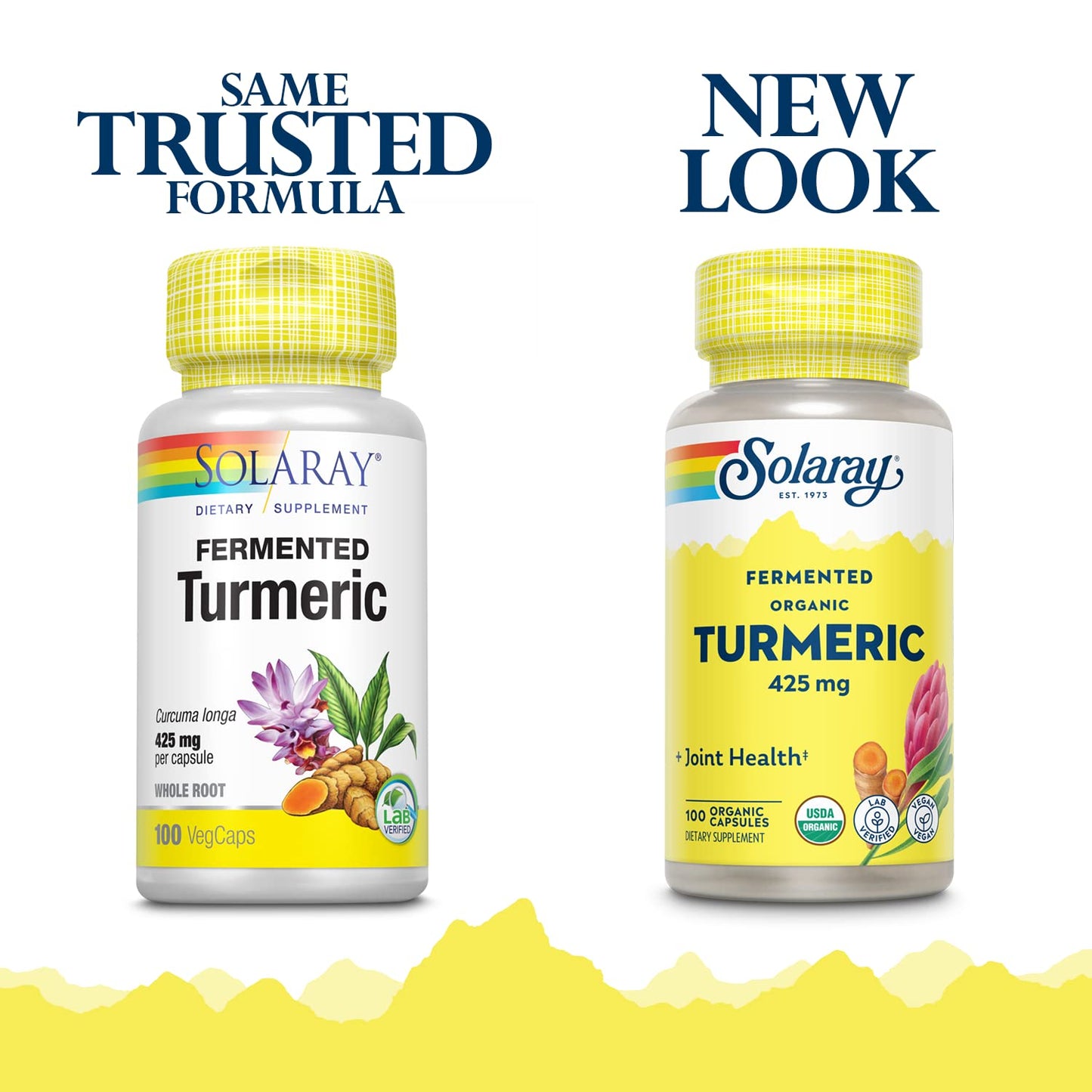 SOLARAY Fermented Turmeric Root 500mg Capsules 100