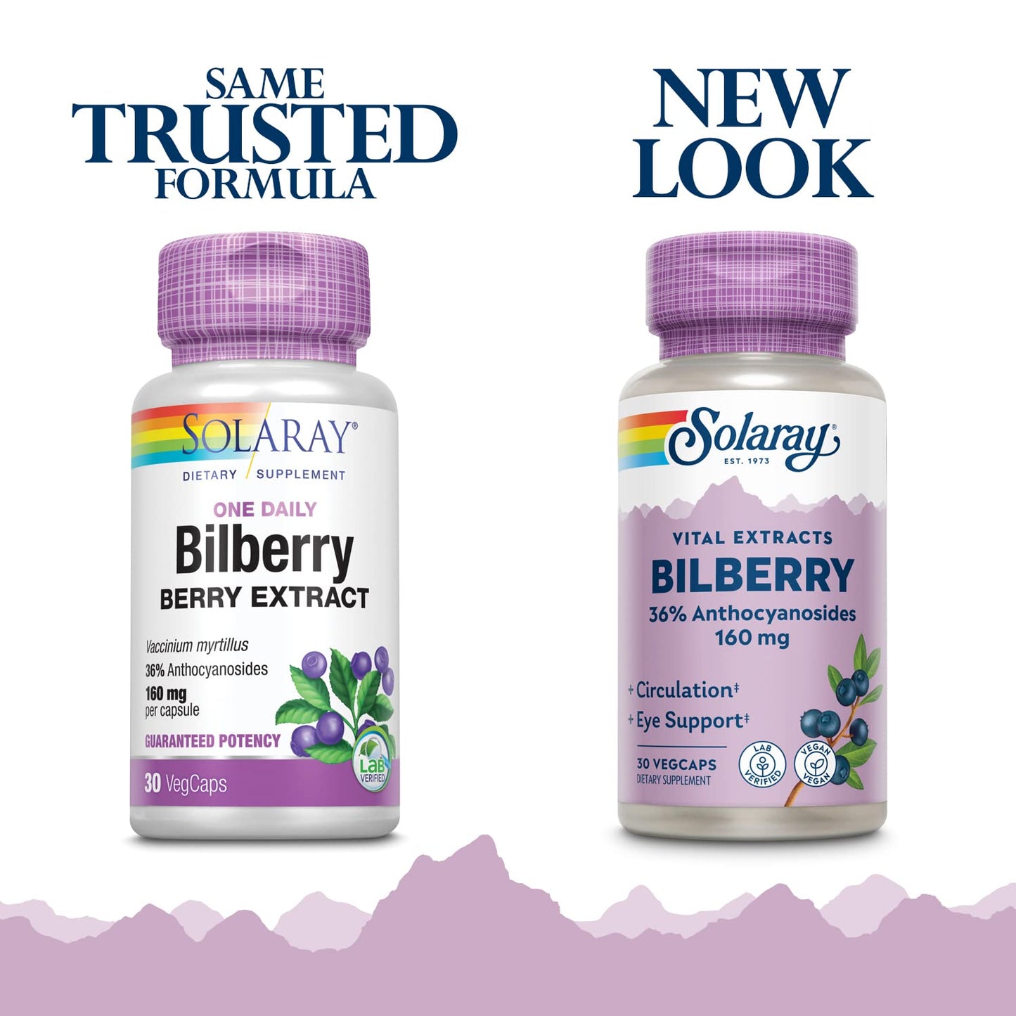Solaray Bilberry Extract 160 mg Eye Health & Circulation Support, 36% Anthocyanosides Plus Blueberry, Capsules 30