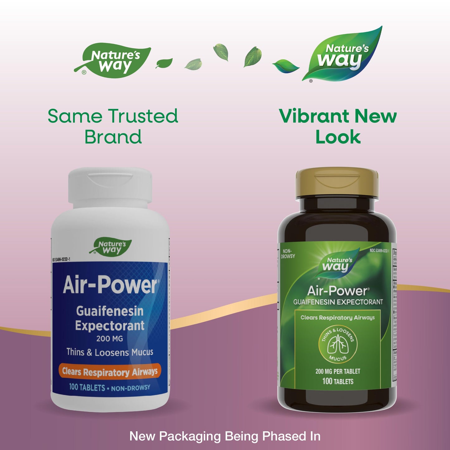 Nature's Way Air-Power Guaifenesin Expectorant Mucus Relief Tablet 100