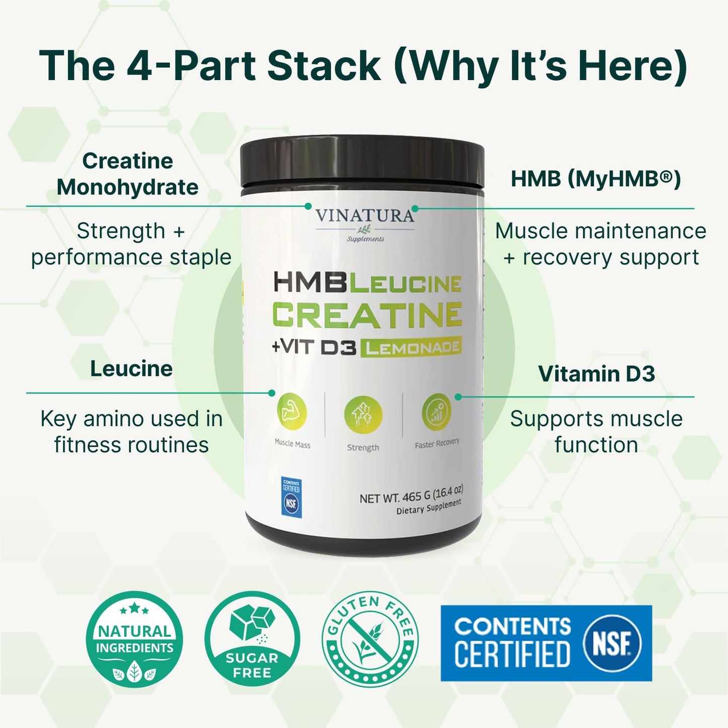 VINATURA Creatine HMB Powder with Leucine Supplements - Muscle Defense, 16.4