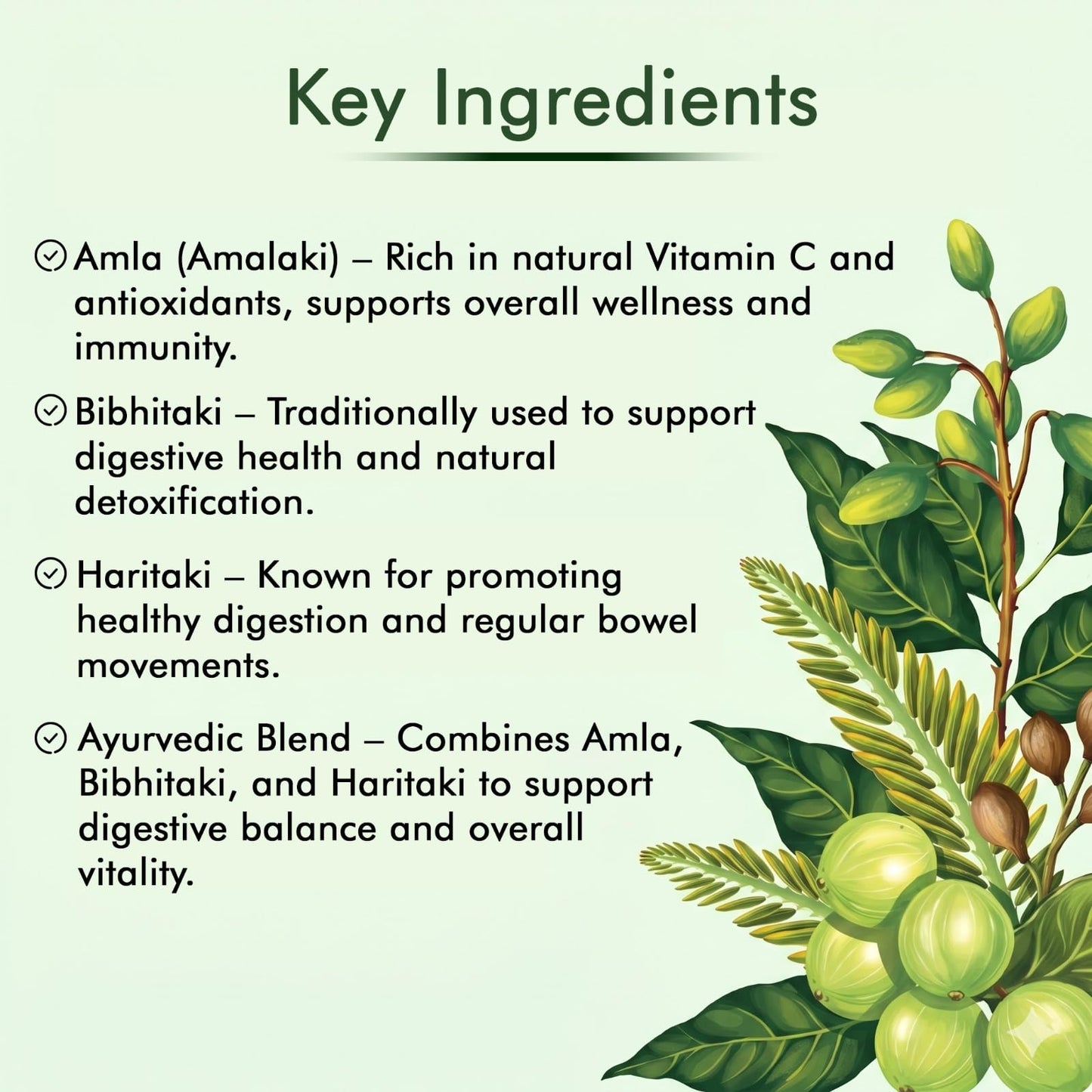 Herbogayam Triphala Capsules 500mg, 60 Capsules