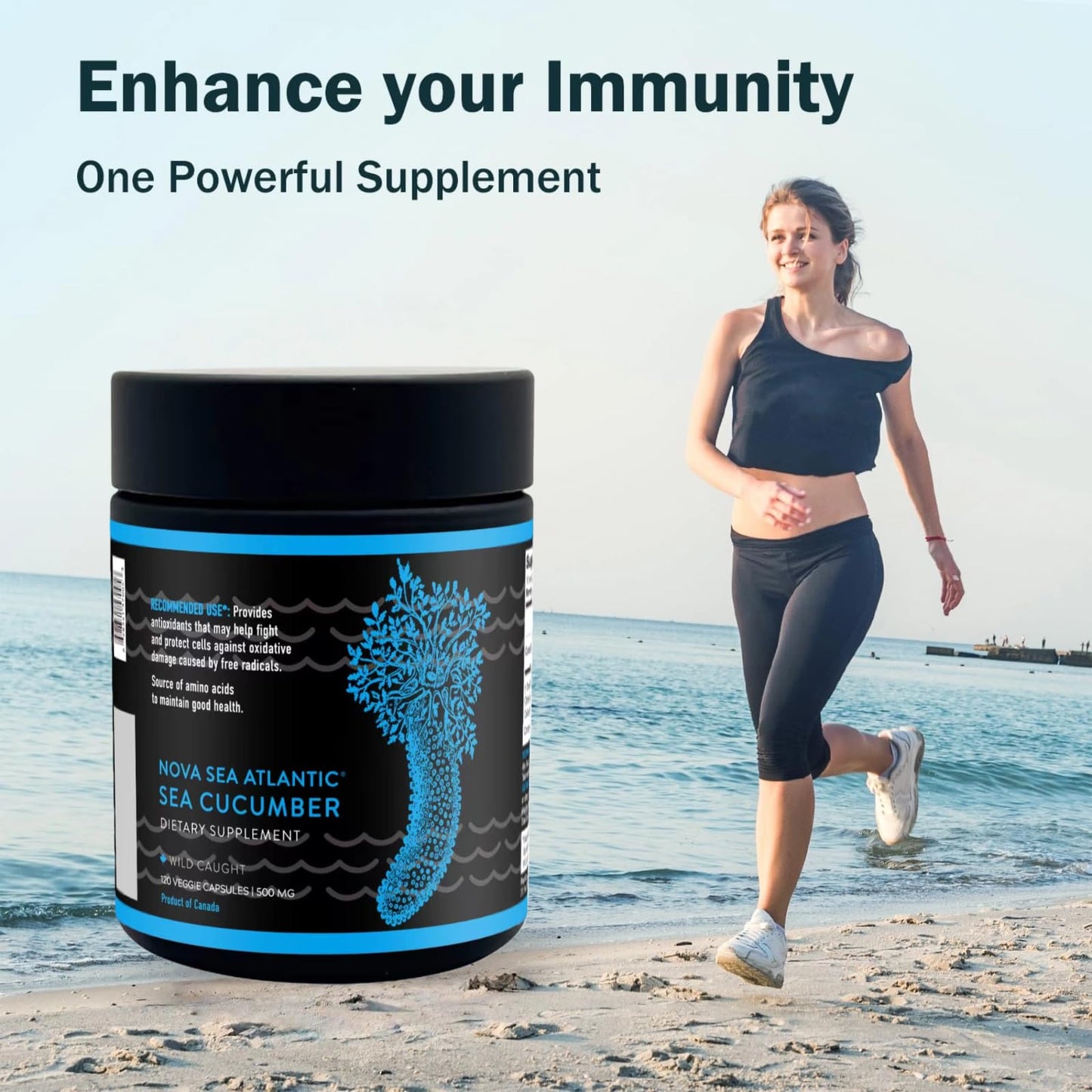 Nova Sea Atlantic Sea Cucumber Supplement 360 Capsules