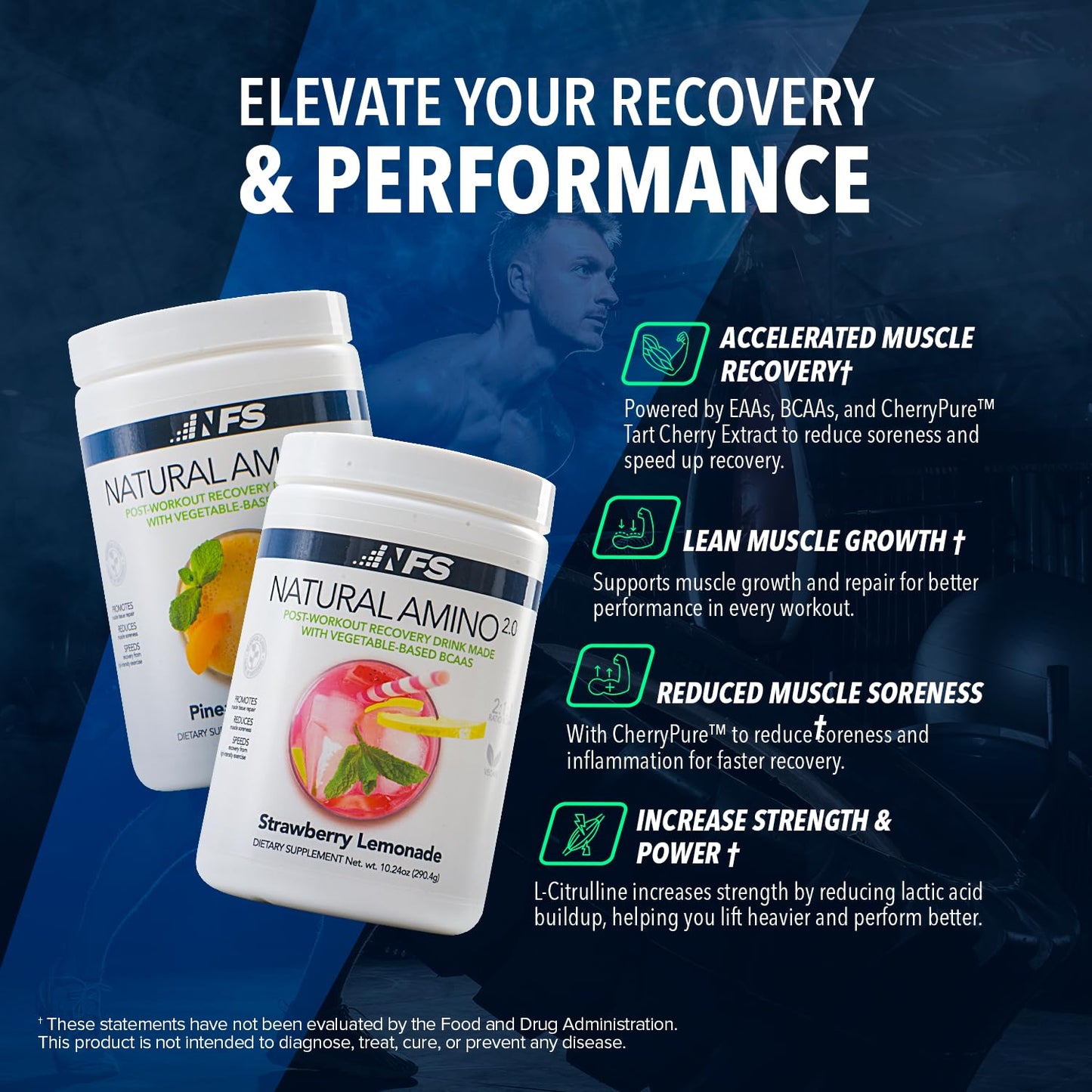 NF Sports Natural Amino 2:1:1 BCAAs Amino Acids Powder, 25 Servings