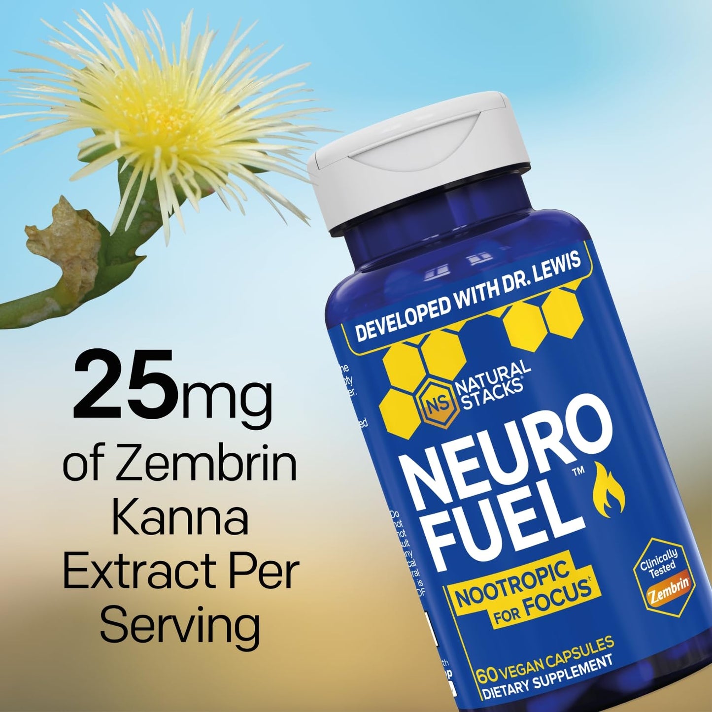 Natural Stacks NeuroFuel Nootropic with Zembrin Capsules, 60 Count