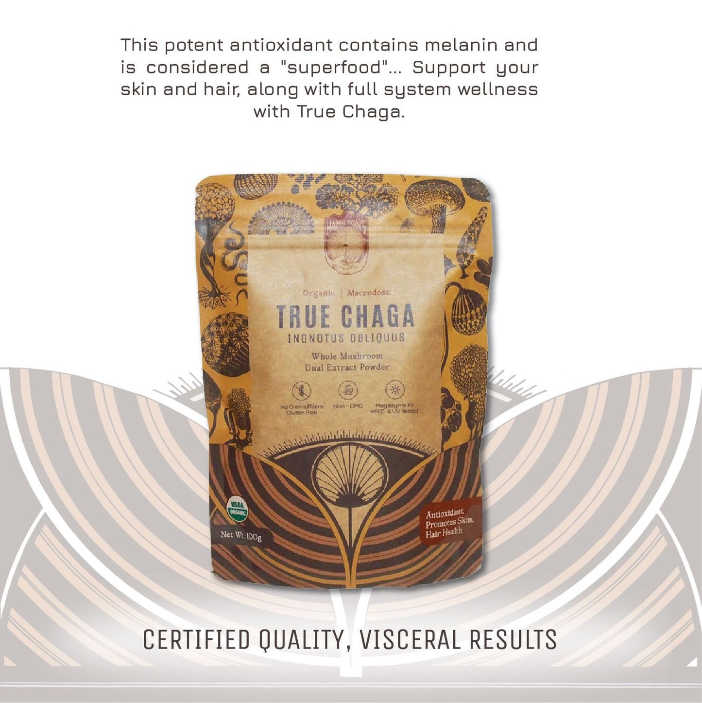 Hamilton's True Chaga Organic Mushroom Extract Powder 7.05 oz
