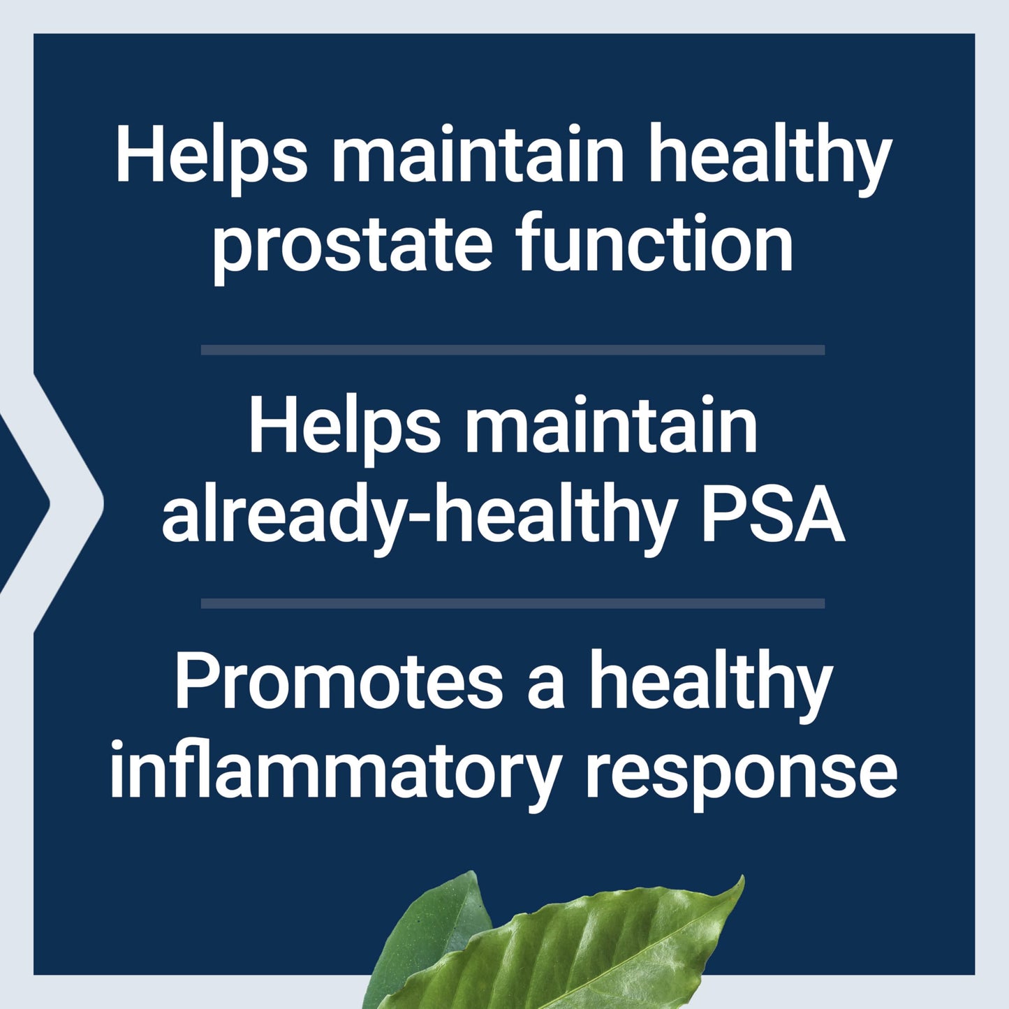 Life Extension Ultra Prostate Formula Softgels 60 Count