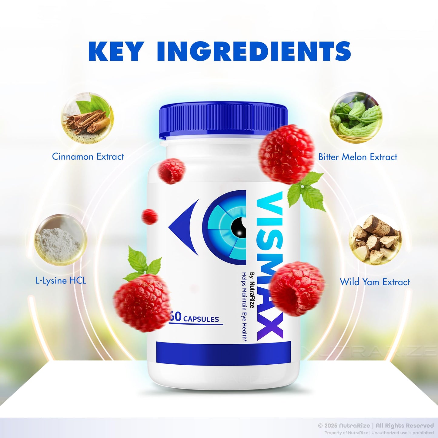NutraRize VisMax Eye Vitamins 120 Capsules