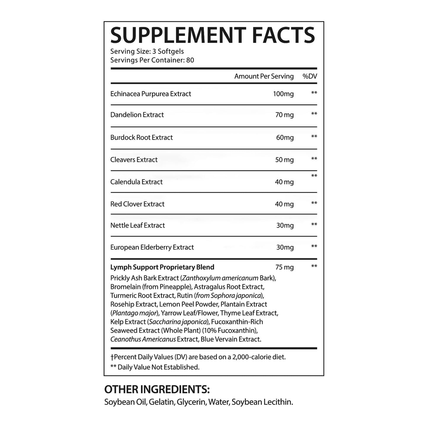 O.SECERT Lymphatic Support Supplement 240 Softgels