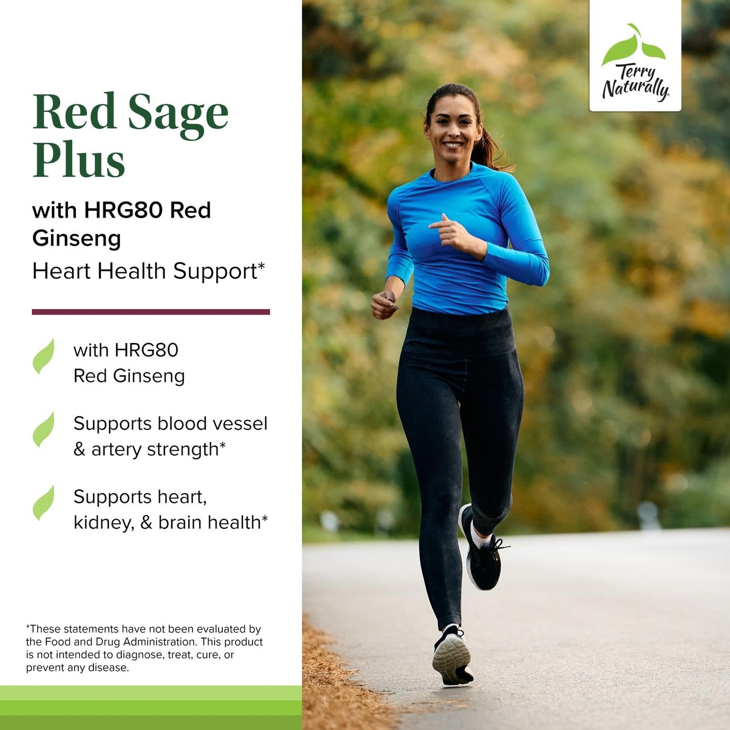 Terry Naturally Red Sage Plus HRG80 Red Ginseng Capsules, 30 Count