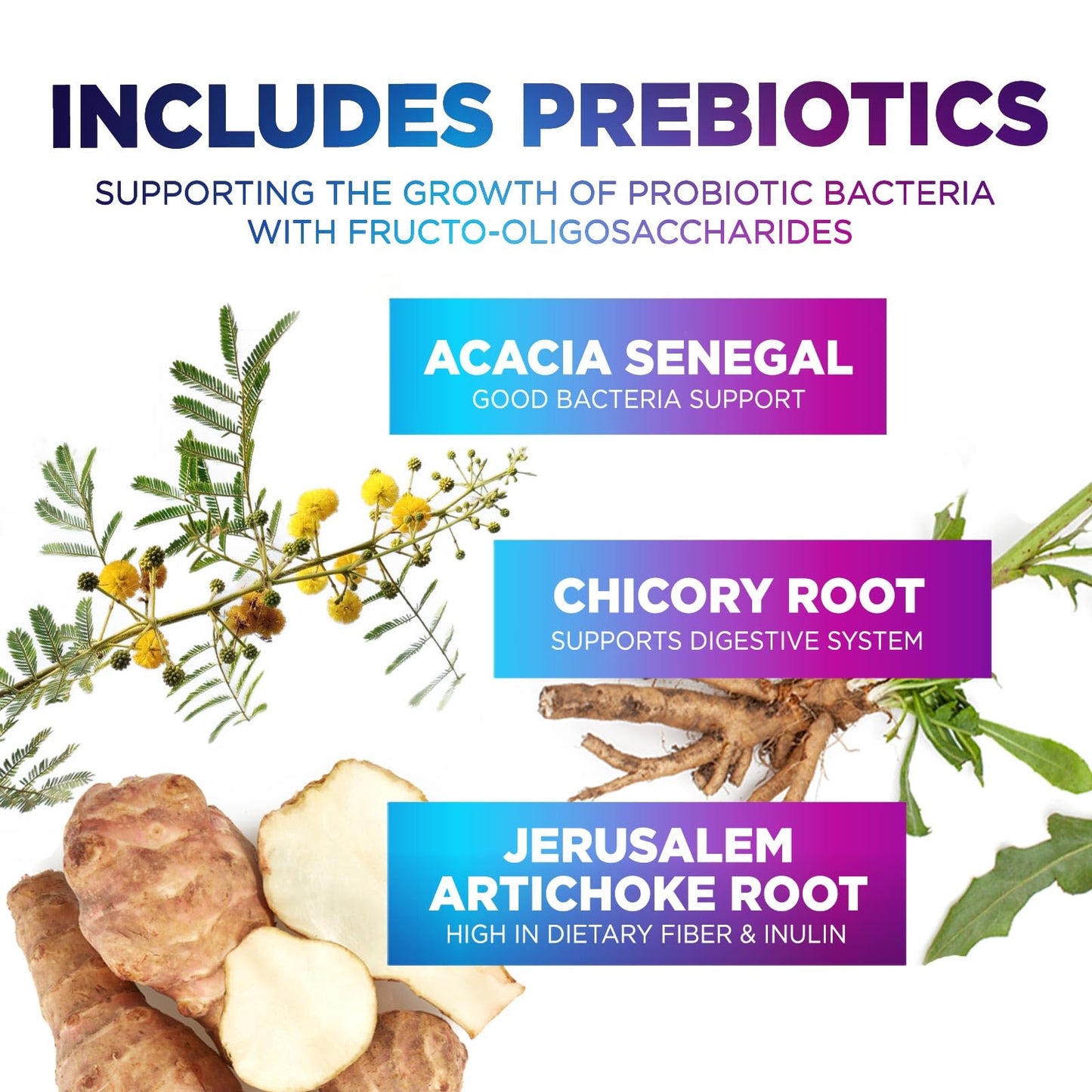 Nature's Peak Probiotics 50 Billion CFU Per Serving - 10 Premium Strains + Digestive Enzymes & Prebiotics, 60 Capsules