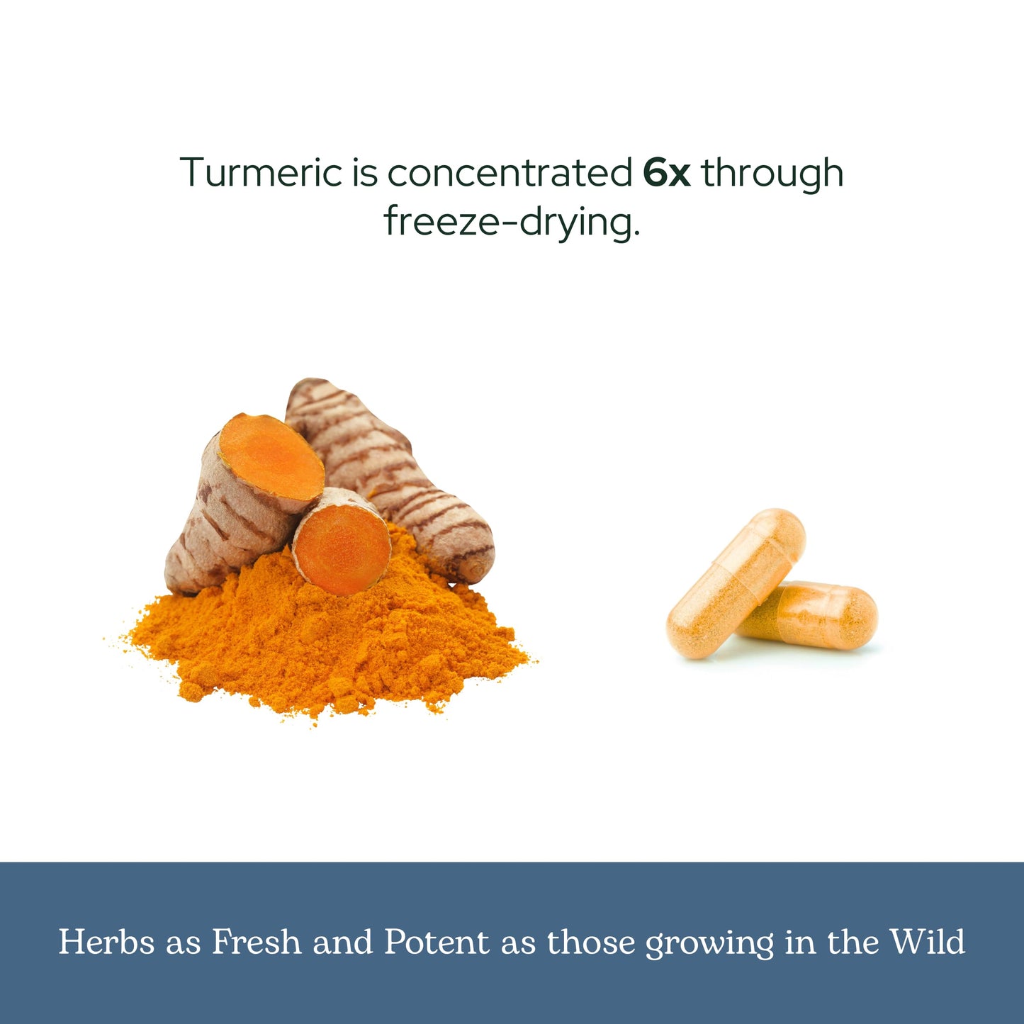 Eclectic Institute Organic Turmeric Capsules 90 Capsules