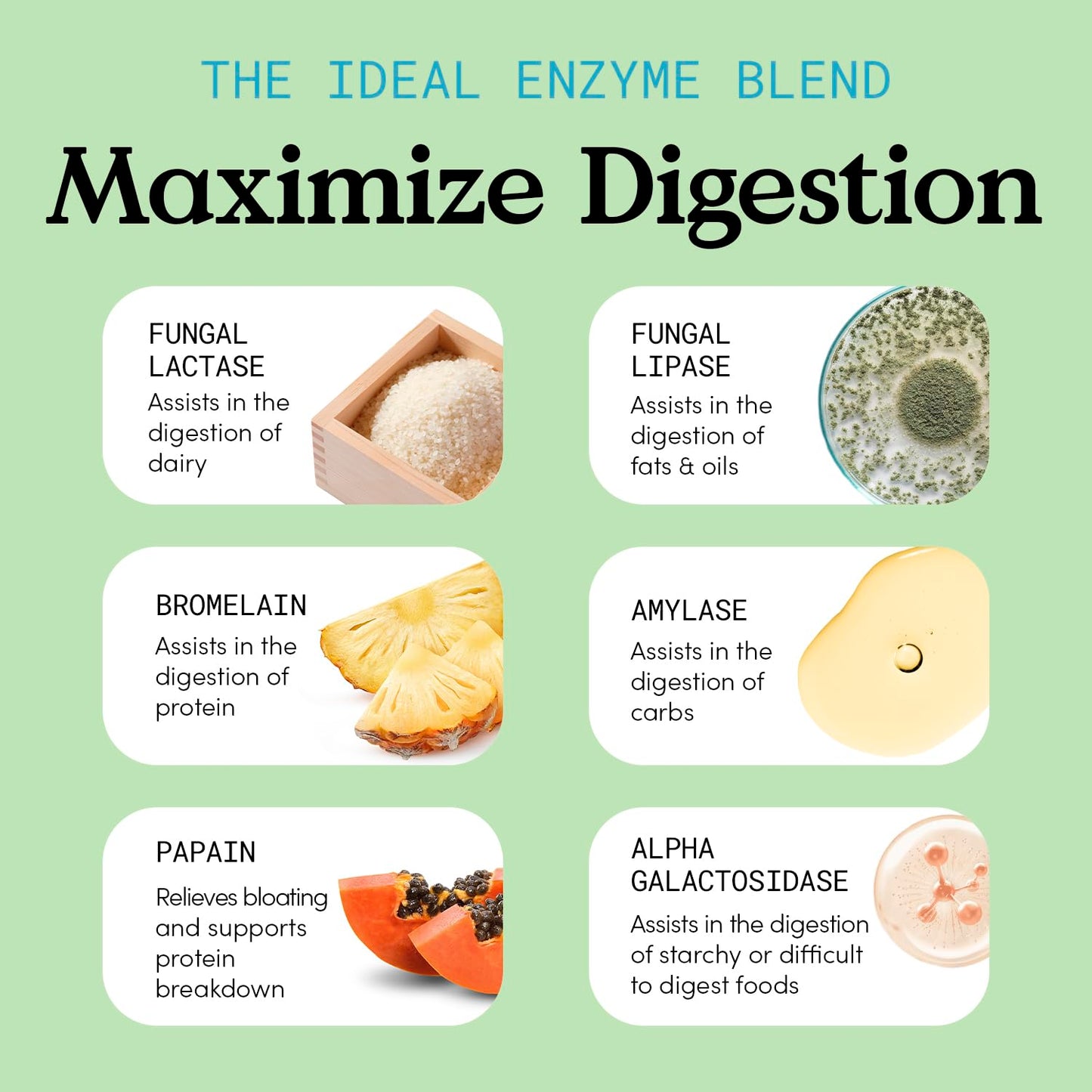 JLM NUTRITIONALS Digest Plus Digestive Enzymes Capsule 60 Capsules
