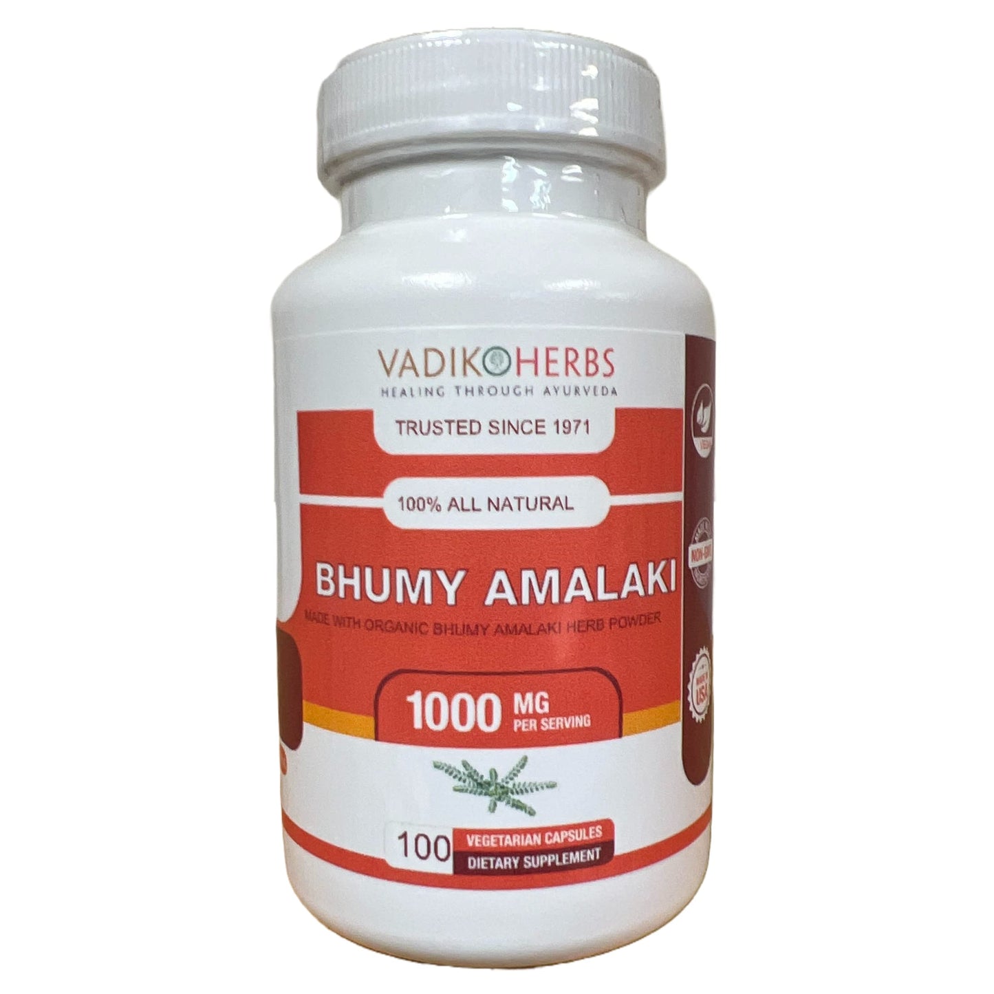 Vadik Herbs Bhumy Amalaki (Phyllanthus amarus) Powder 100 Vegicaps