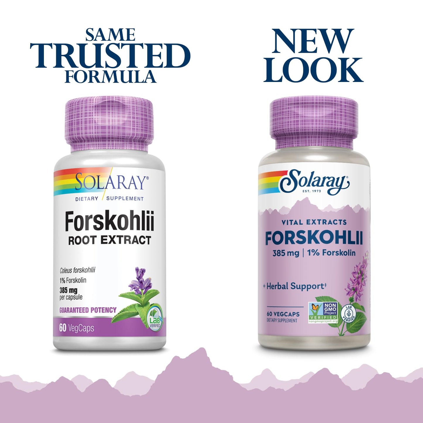 SOLARAY Forskohlii 385 mg Capsule, 60 Capsules