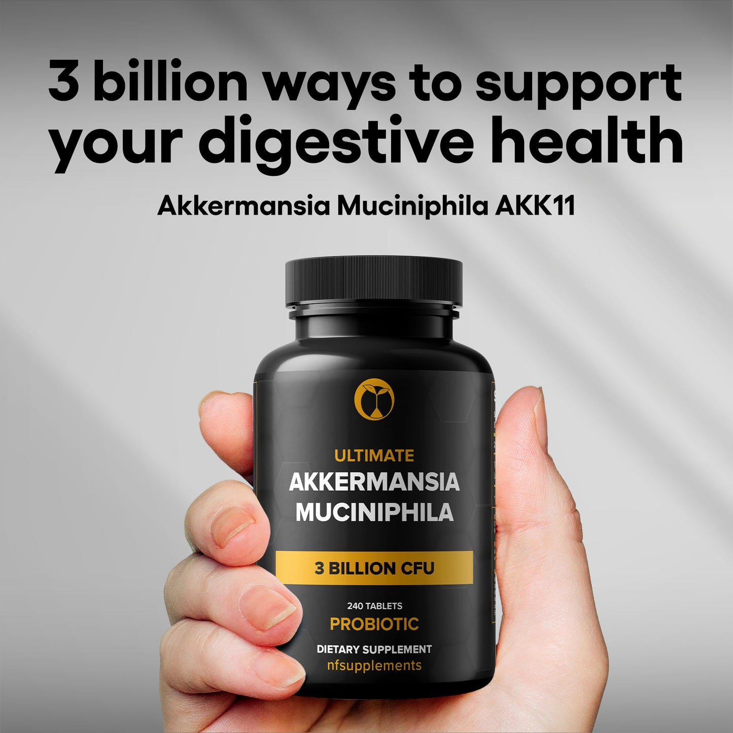 Natural Foundation Supplements Akkermansia Muciniphila Probiotic Supplement 3 Billion CFU Tablets 240 Tablets