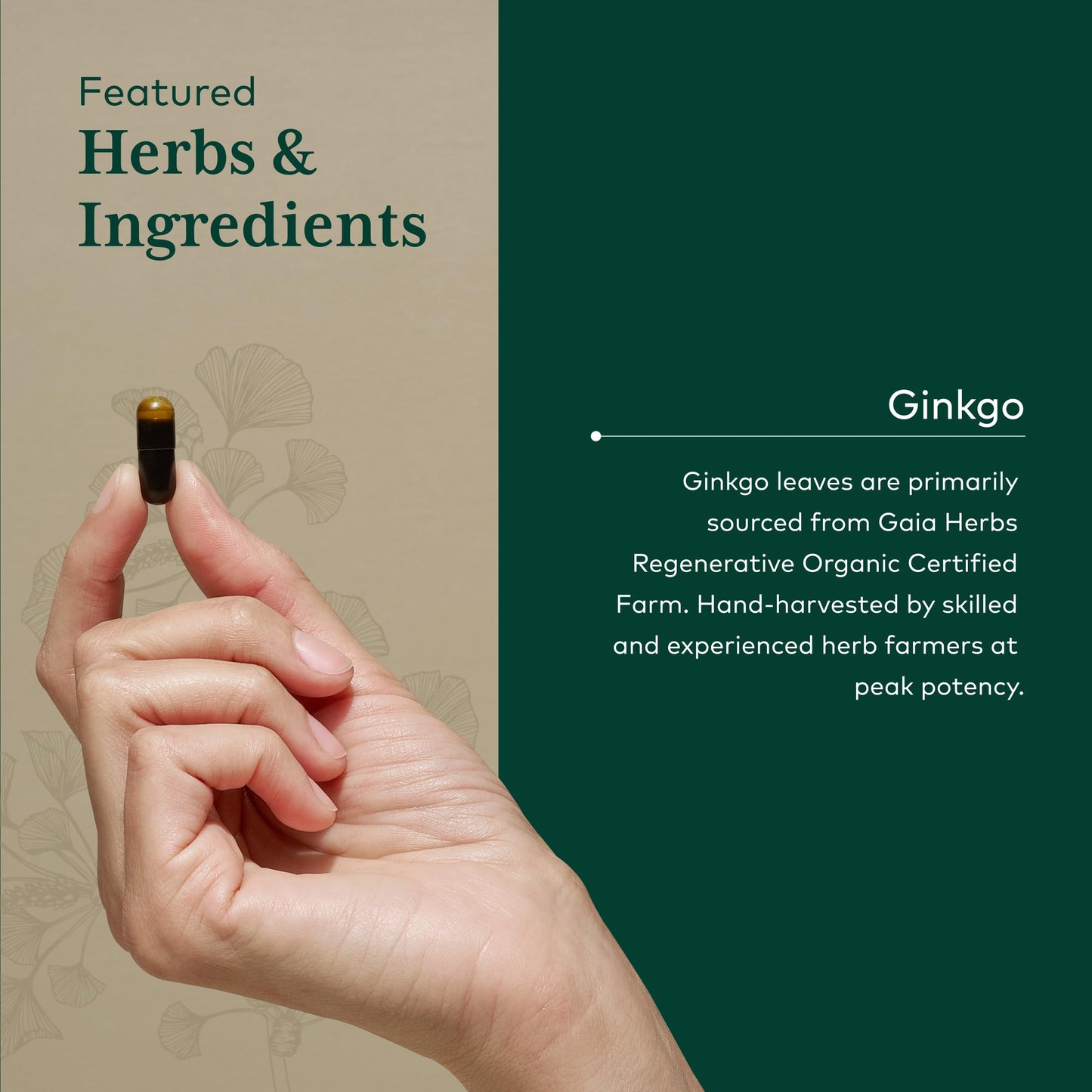 Gaia Herbs PRO Ginkgo Biloba Capsules, 60 Count