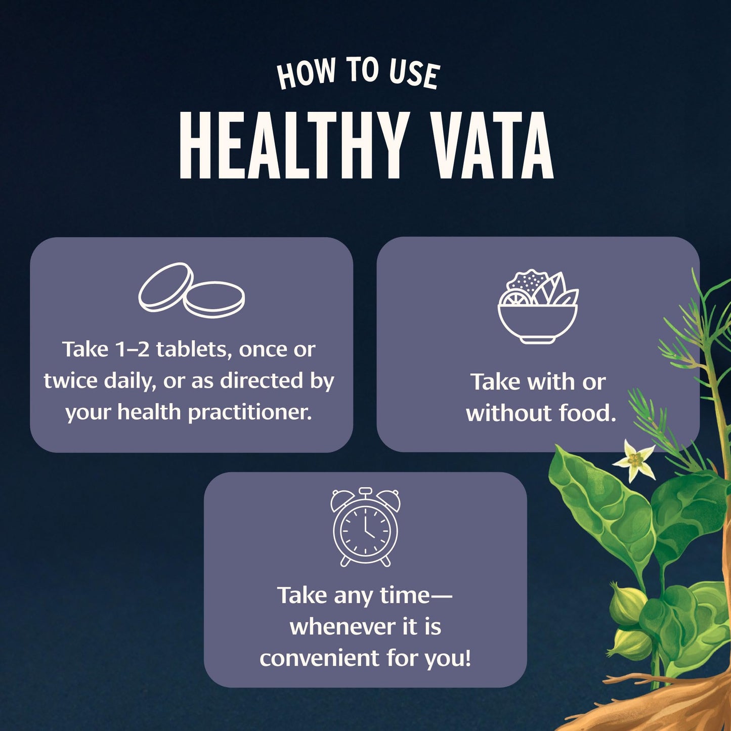 Banyan Botanicals Organic Healthy Vata Grounding & Stability Supplement with Ashwagandha, Shatavari & Mucuna, 90 Tablets