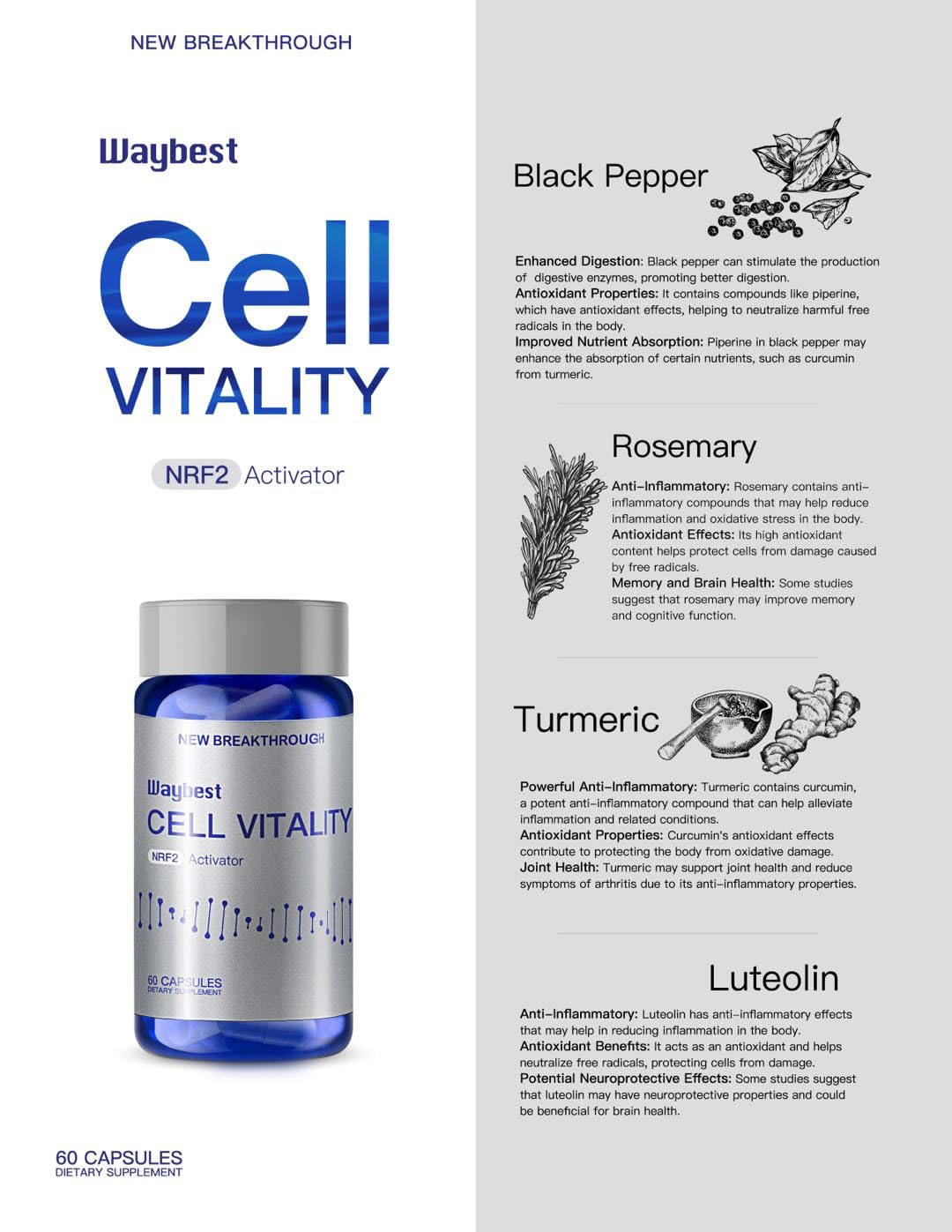 EBAT NRF2 Activator Antioxidant Supplements for Cell Vitality 60 Caplets