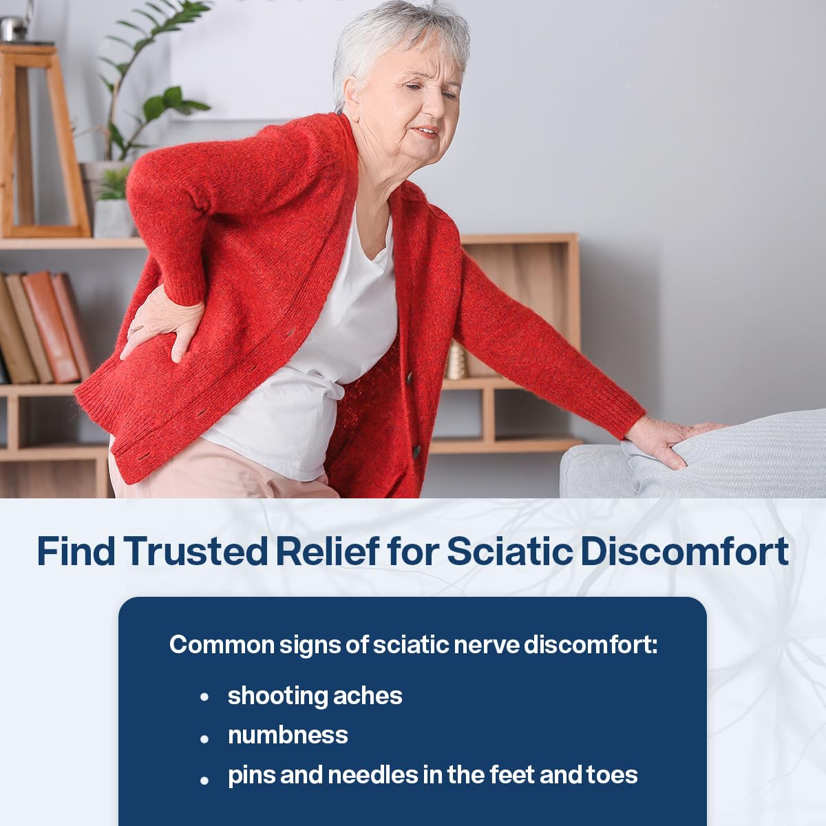 SciatiEase SciatiComfort Spine and Disc Support Supplement Capsules, 60 Count