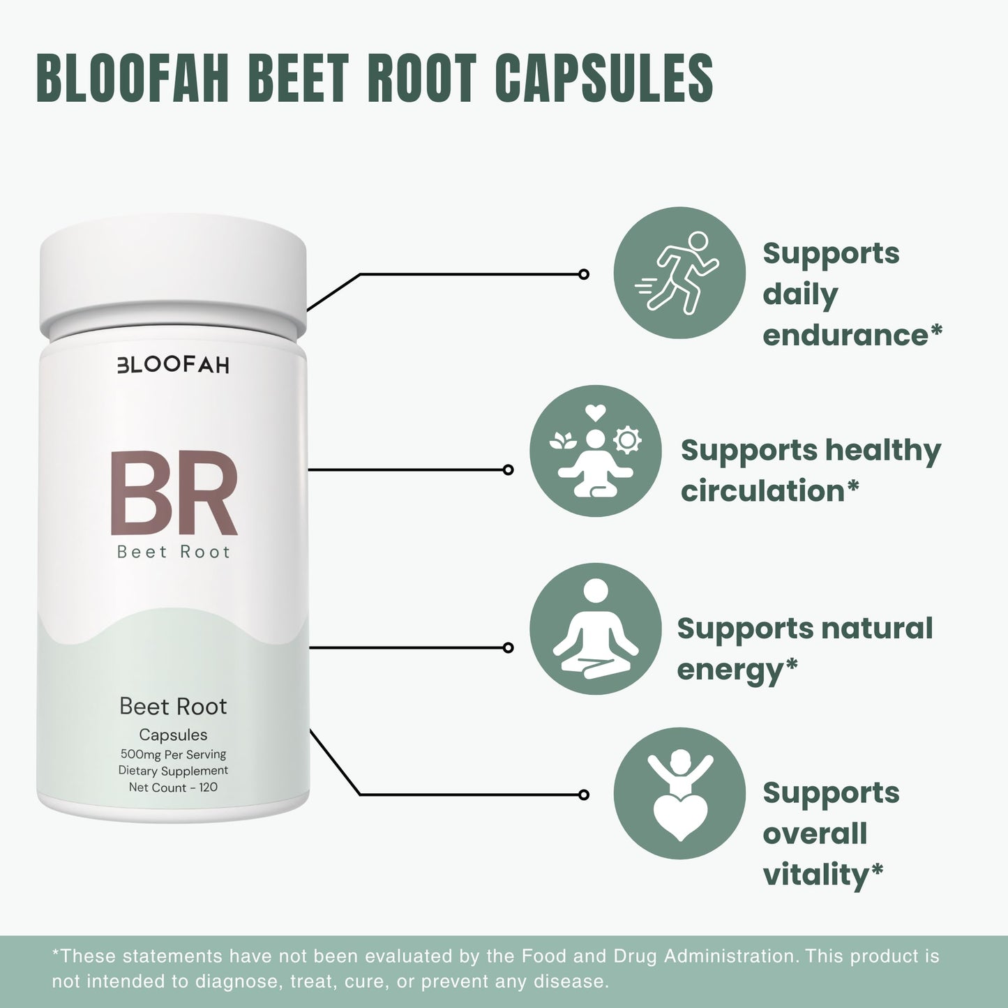Bloofah Beet Root Capsule 500mg, Concentrated 10:1 Extract (Beta vulgaris) Natural Herbal Supplement, 120 Capsules