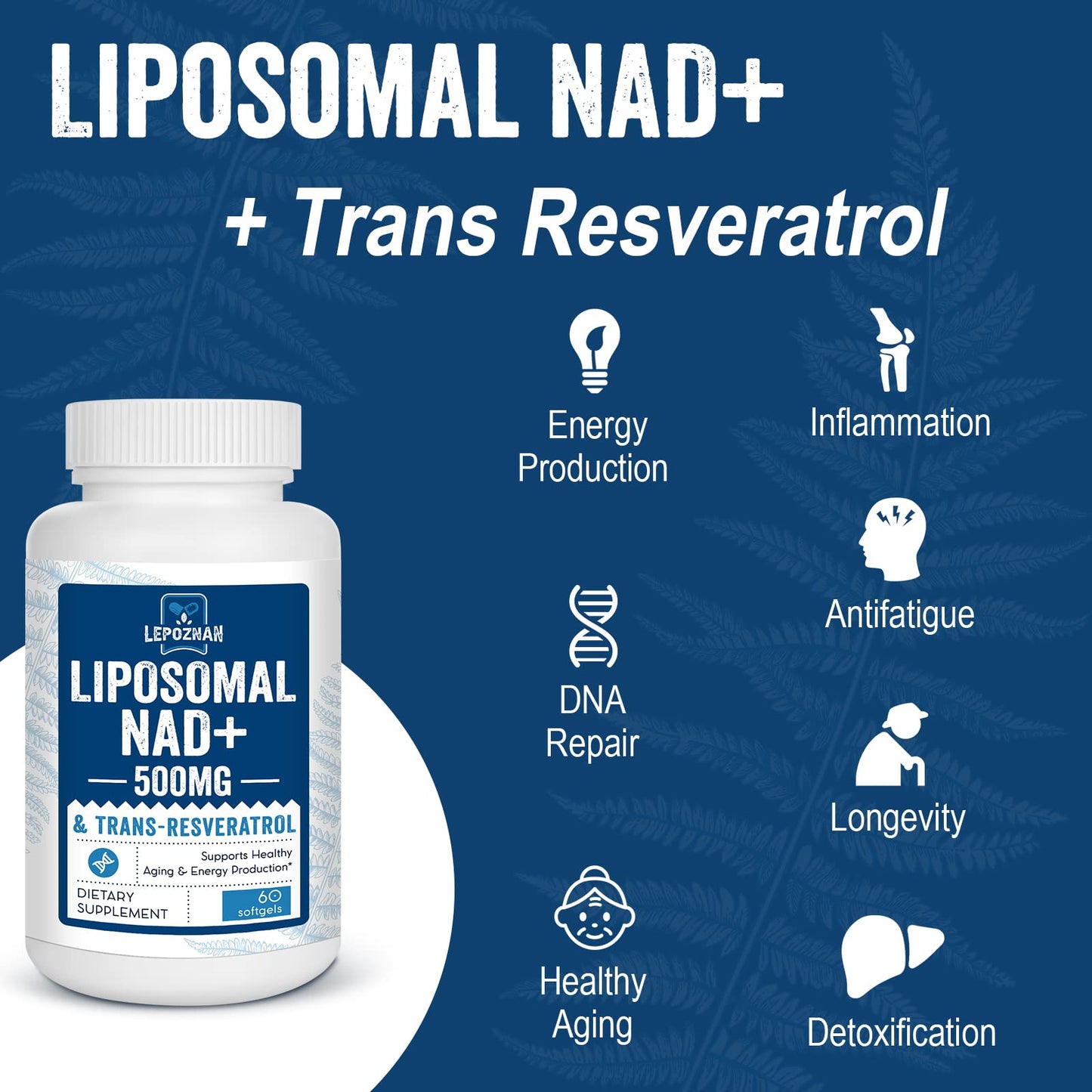 Lepoznan Liposomal NAD+ 500 mg + Trans-Resveratrol 300 mg Softgels, 120 Count