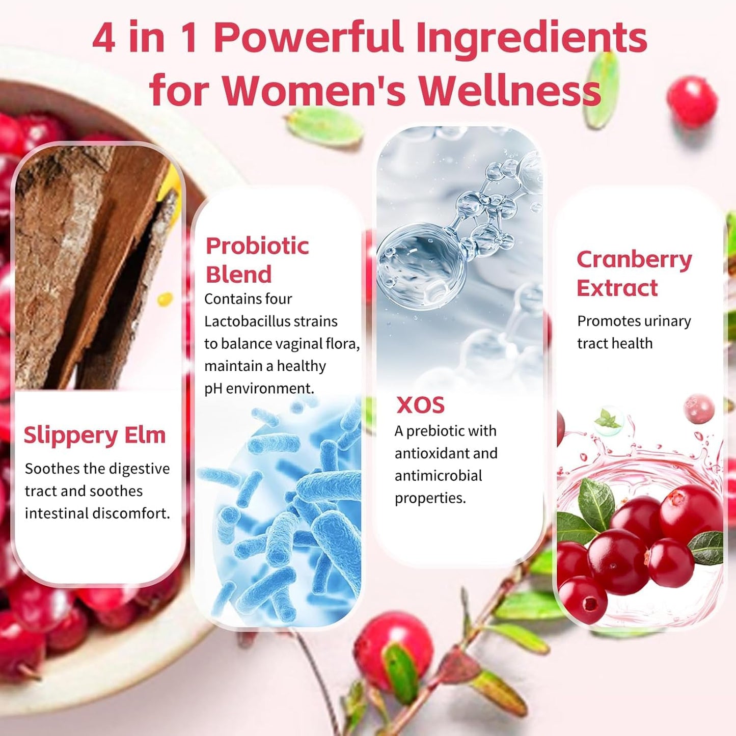 Wordln Women Probiotic Gummies for Feminine Health Gummy 120
