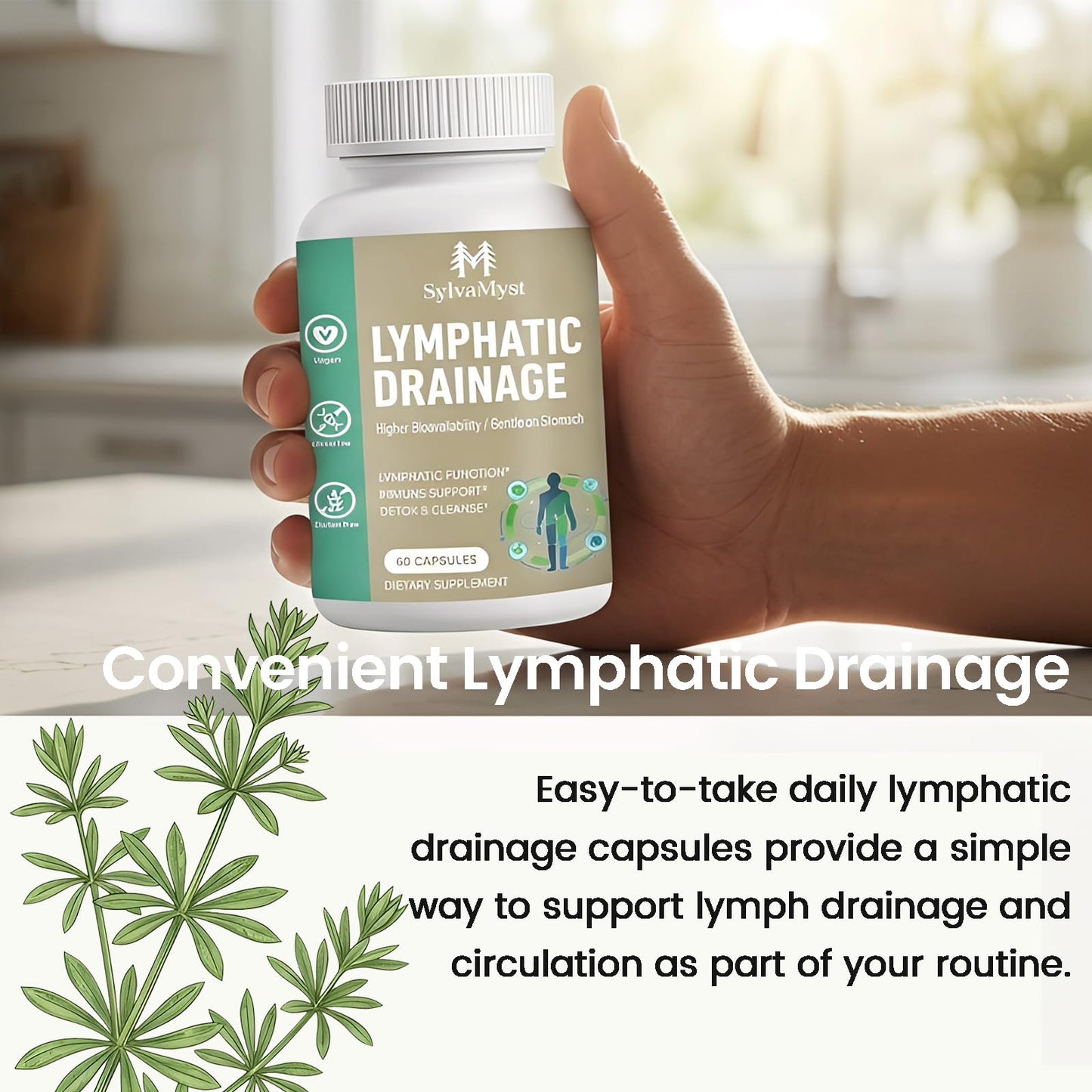 SylvaMyst Natural Lymphatic Support Capsules, Advanced Herbal Formula for Lymph System, Immune Health & Fluid Balance, Non-GMO, 60 Capsules