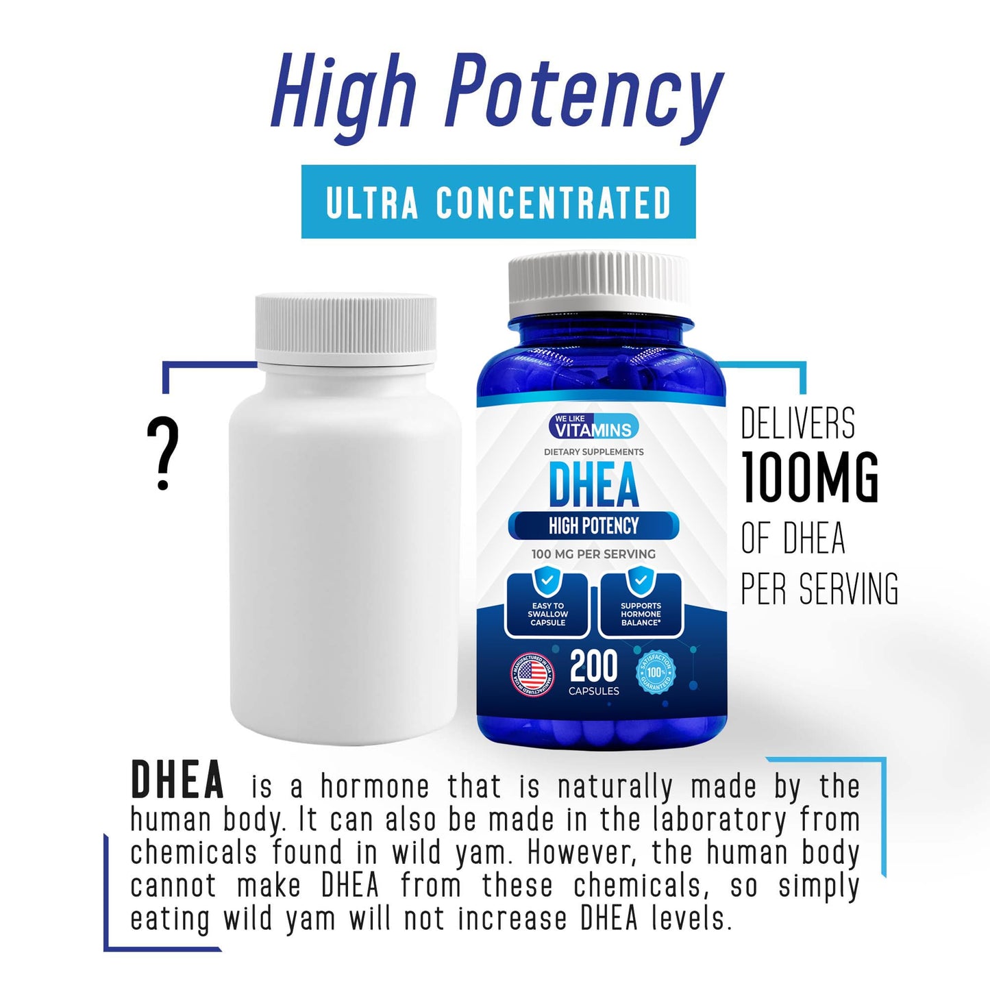 We Like Vitamins DHEA 100mg Capsules, 200 Count