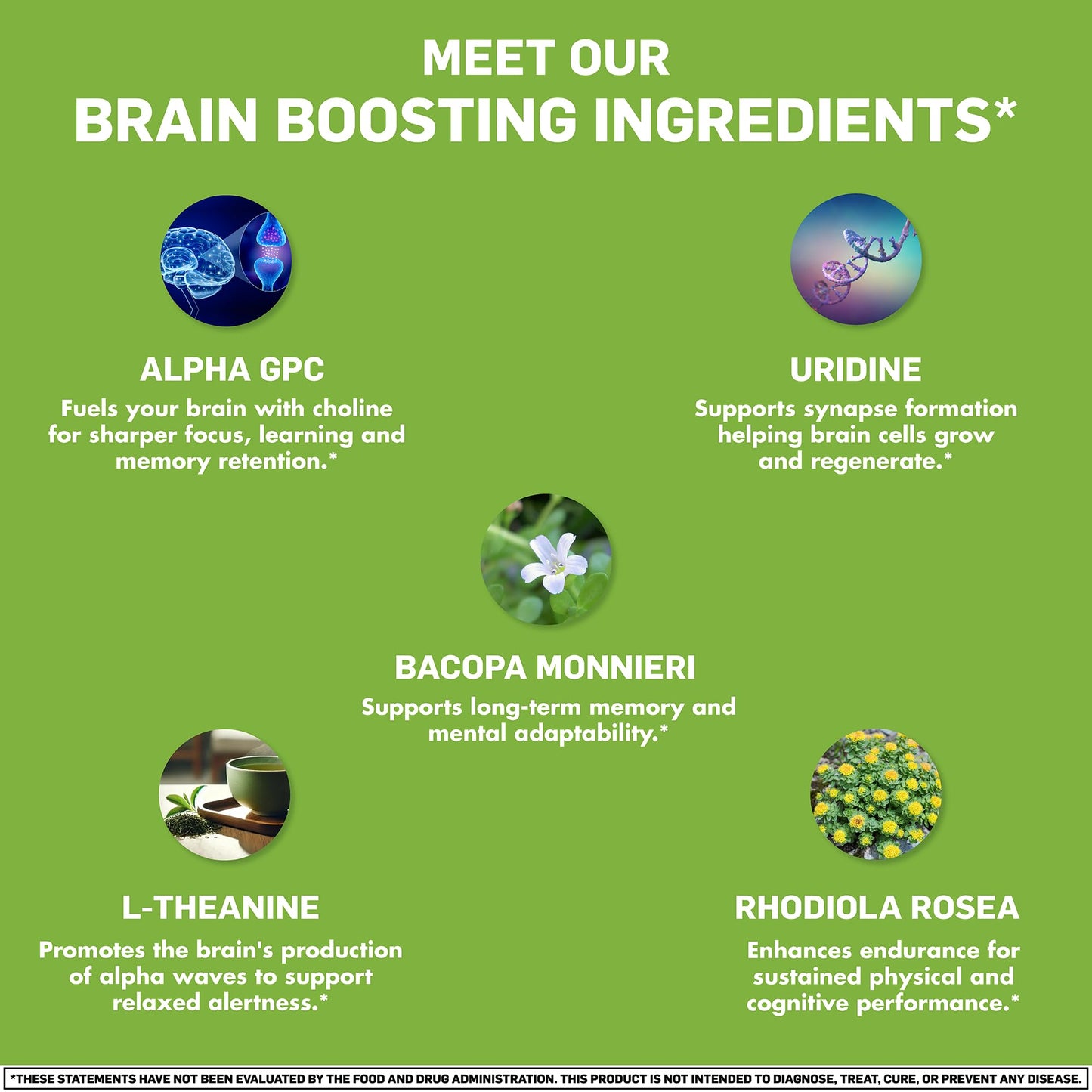 Off Meta Nootropics The Gigachad Stack Capsule, 120 Capsules