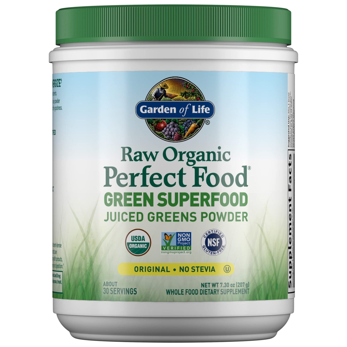 Garden of Life RAW Organic Perfect Food Juiced Greens Powder, 7.3 oz