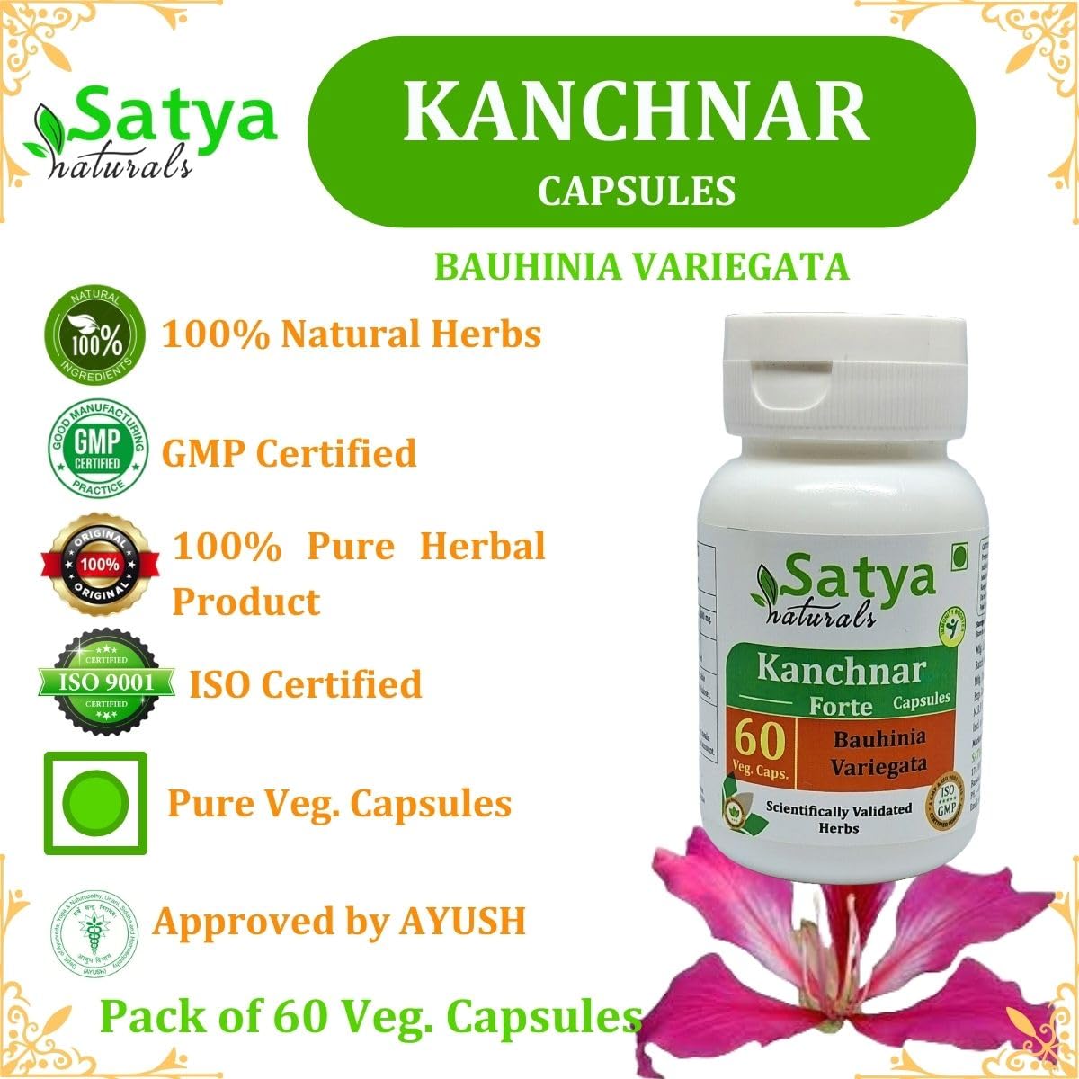 Satya Naturals Kanchnar Forte 500 mg Capsules, 240 Count