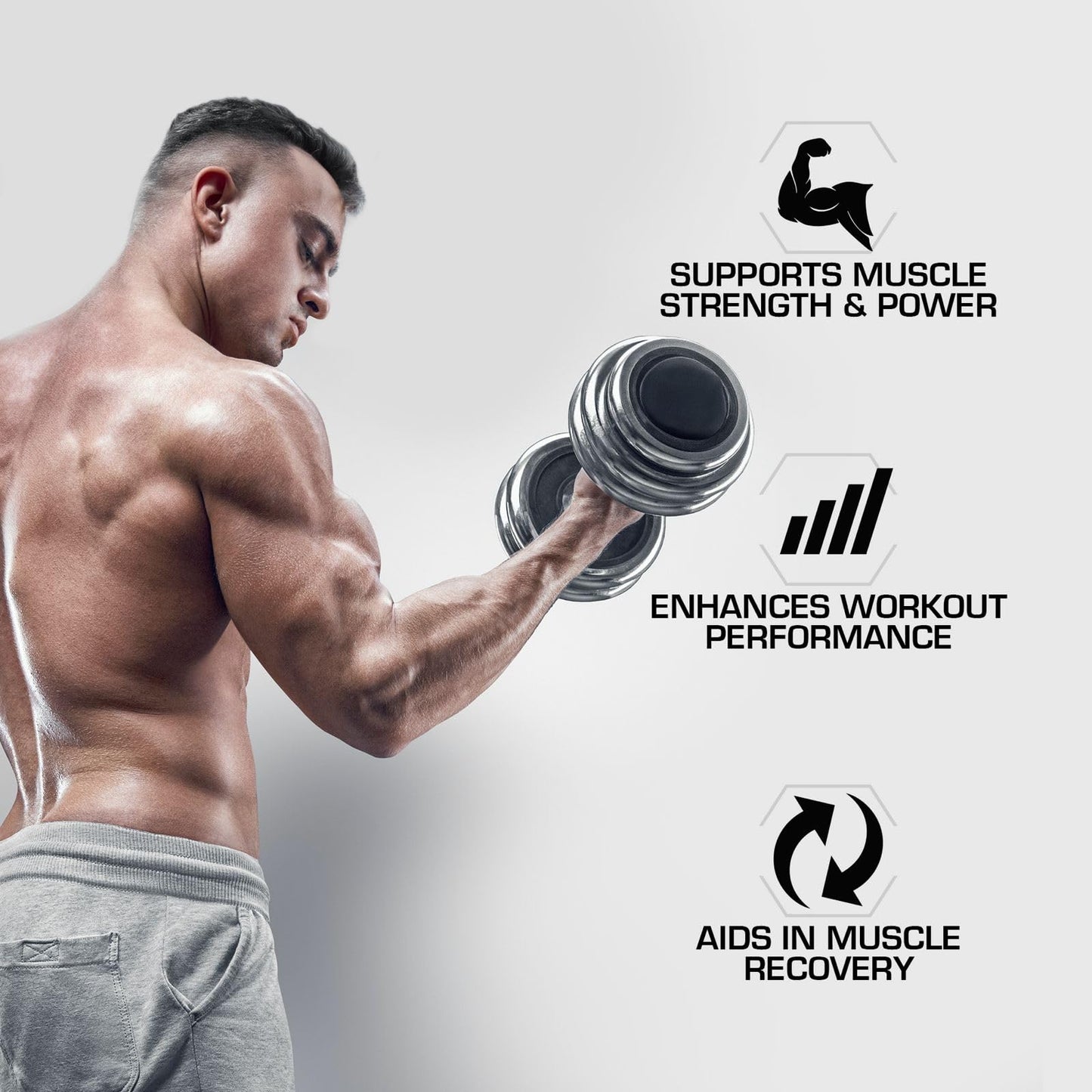 ProLab Creatine Monohydrate Powder 35.2 oz