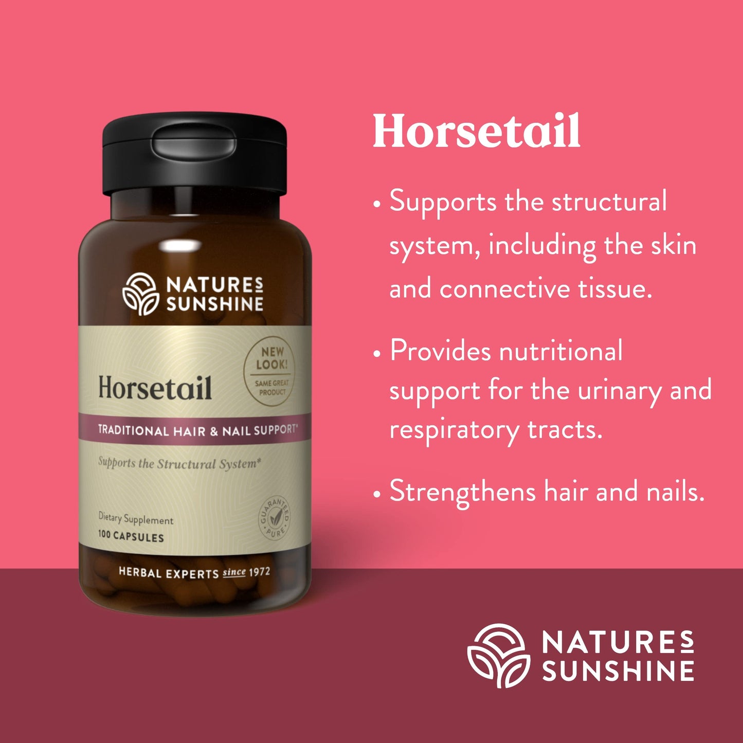 Nature's Sunshine Horsetail Capsules, 100 Count