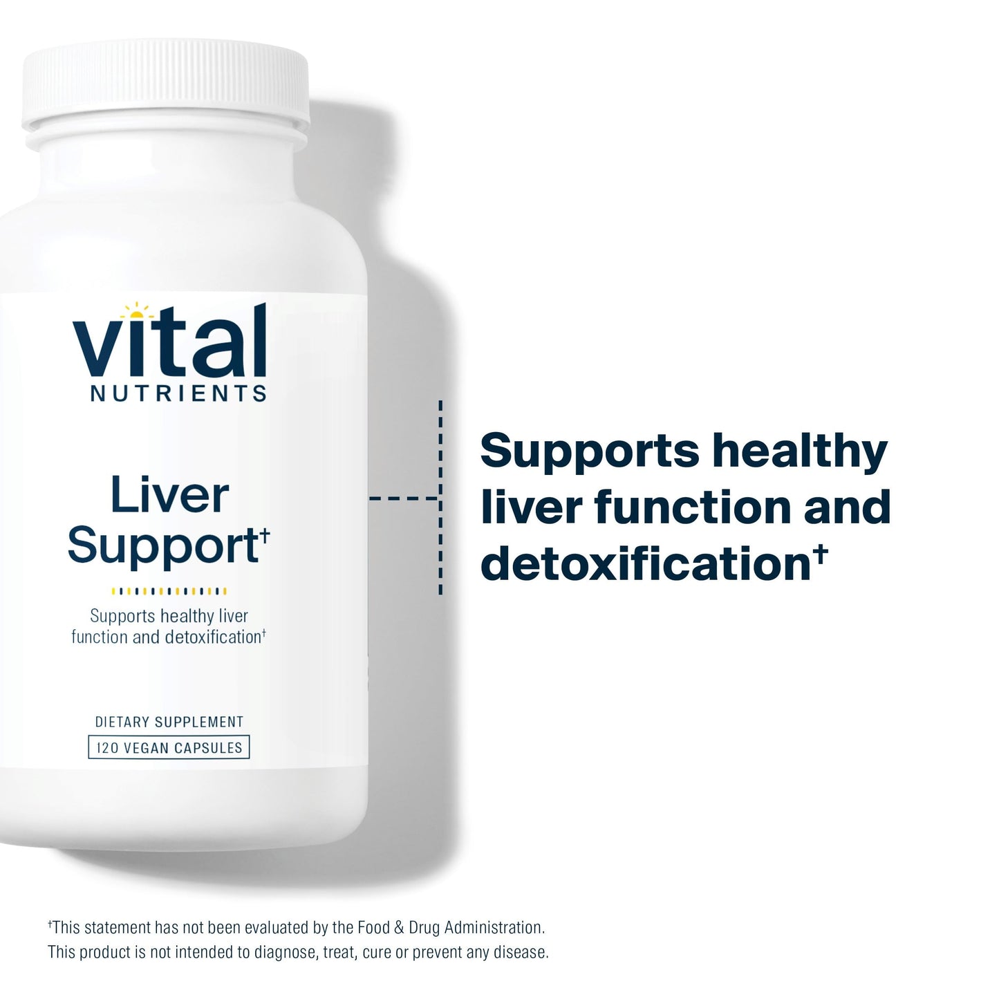 Vital Nutrients Liver Support Milk Thistle and Curcumin Capsules, 120 Count