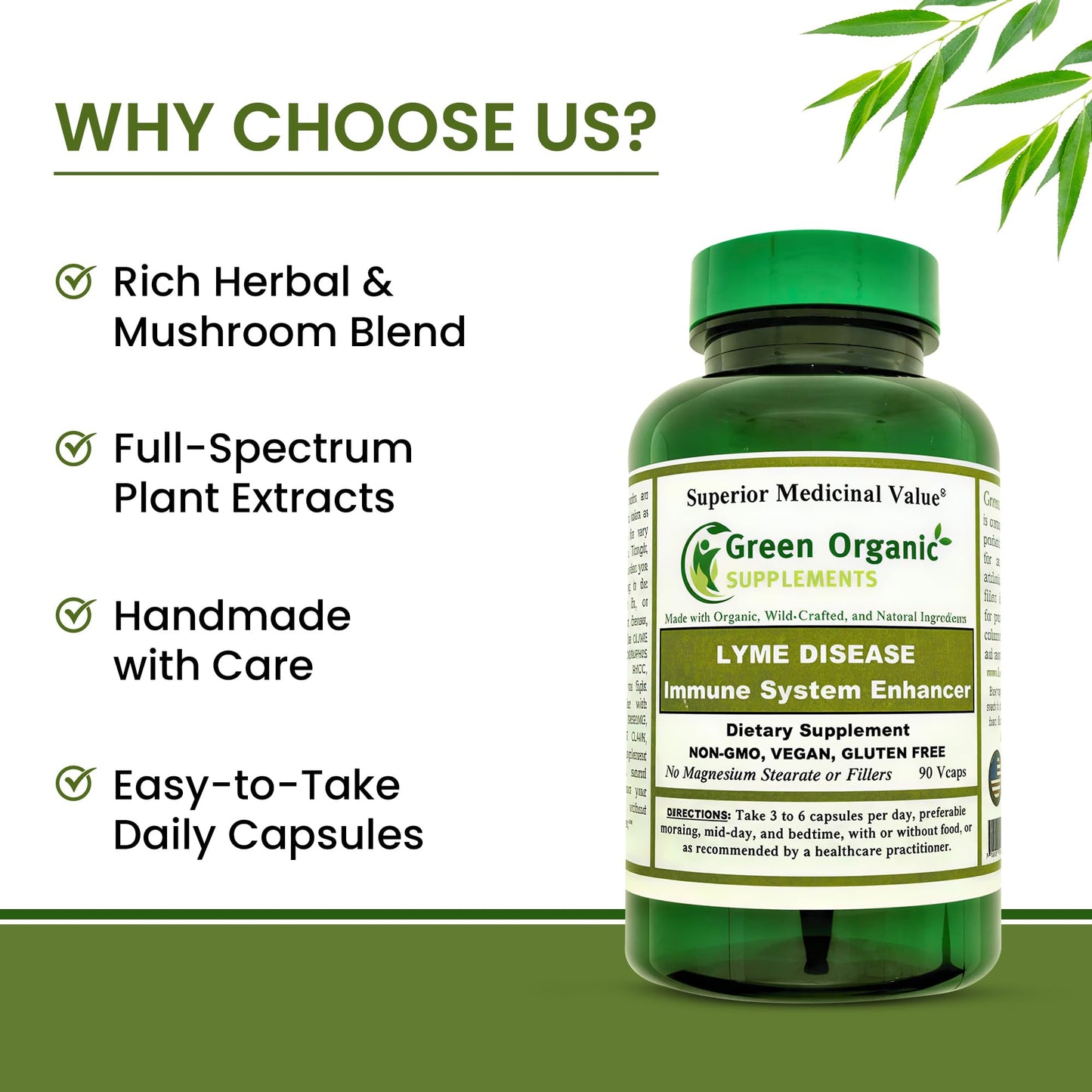Green Organic Supplements Lyme Disease Immune System Enhancer Antibiotic Capsule 90 Count