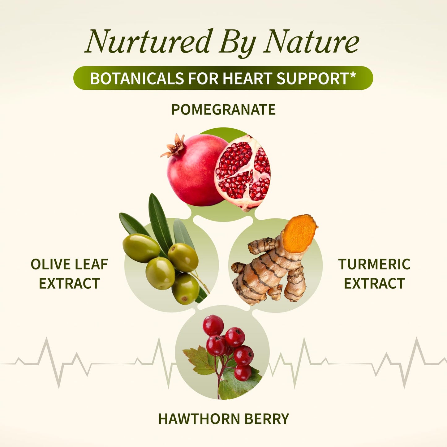 Snap Supplements Cholesterol Health + Heart Health Bundle Vegetarian Capsules, 150 Capsules