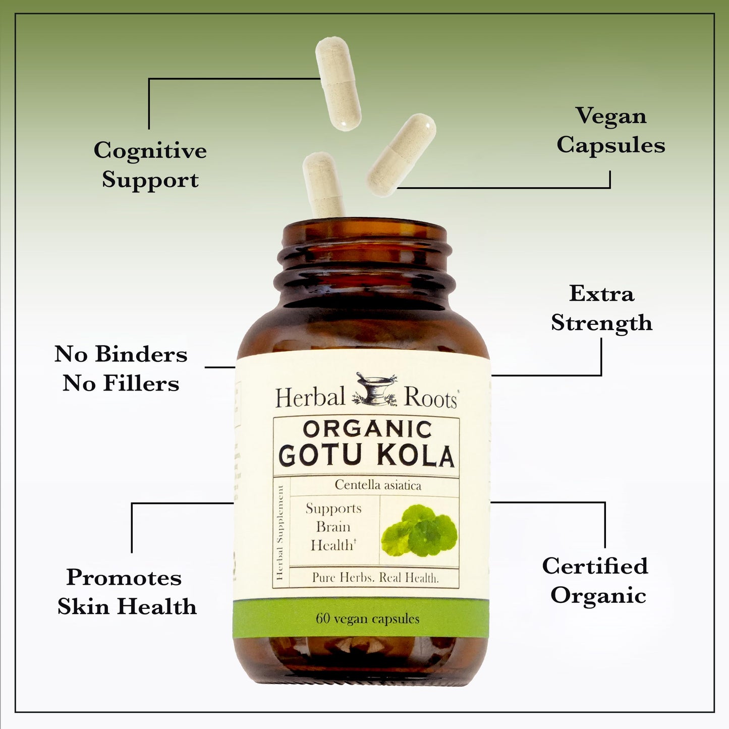 Herbal Roots Gotu Kola Supplement Capsules 60 Count