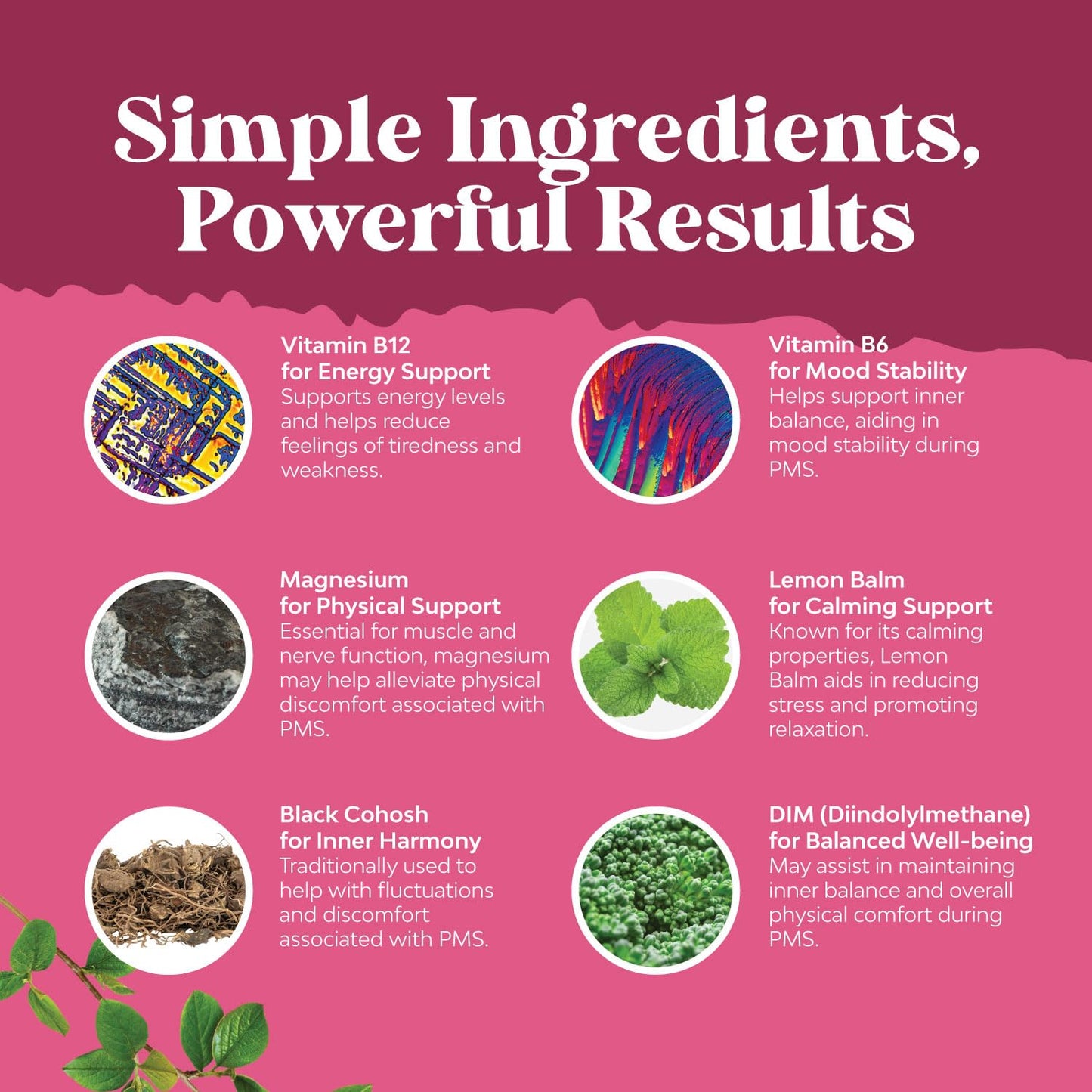 Natures Craft Herbal Thyroid Support Complex & Herbal PMS Support for Women Chewable 2-Pack
