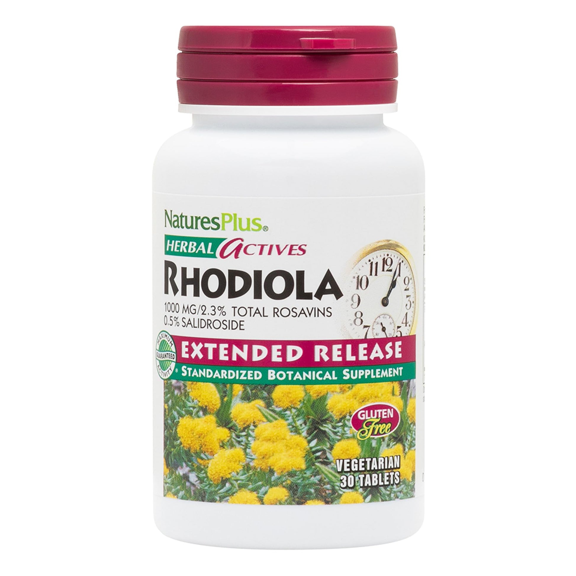 NaturesPlus Rhodiola Extended Release Tablet 30 Tablets