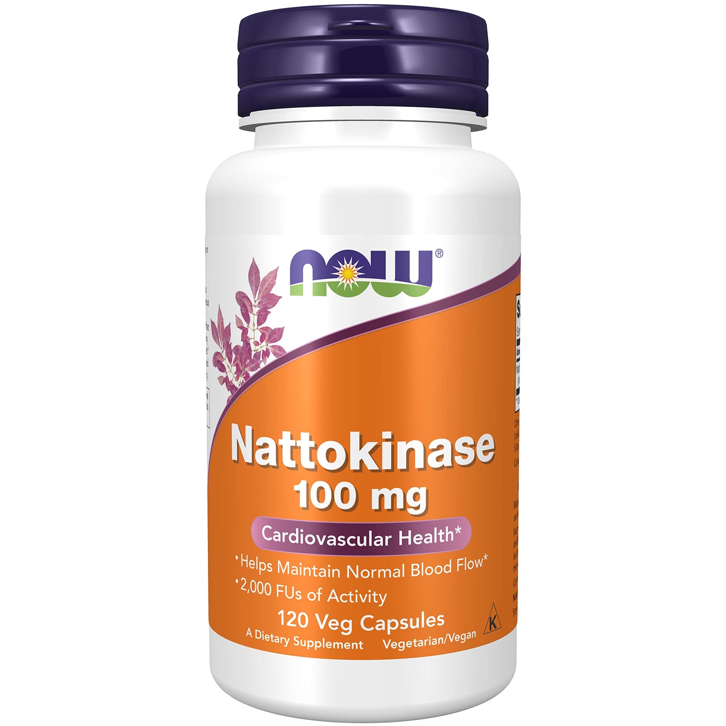 NOW Foods Nattokinase 100 mg Capsules 240