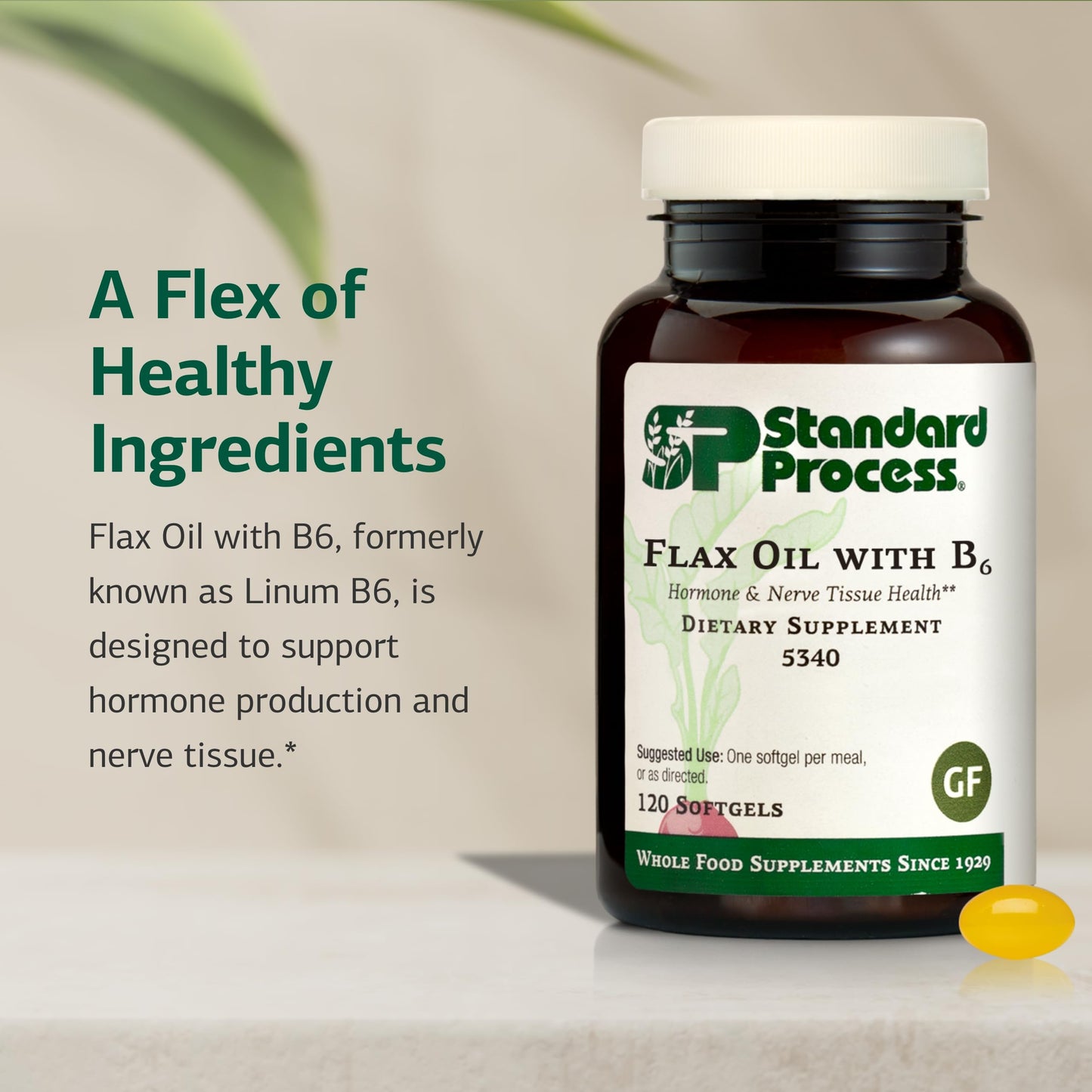 Standard Process Inc. Flax Oil with B6 - Supplement for Hormone & Nerve Tissue Support - Brain, Heart & Skin - Gluten-Free, Non-Dairy & Non-Soy Softgels 120
