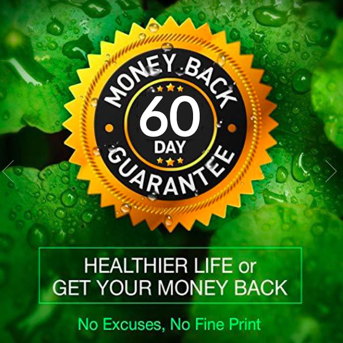 Heaven's Gate Green Coffee Bean Extract Capsules, 12 Count