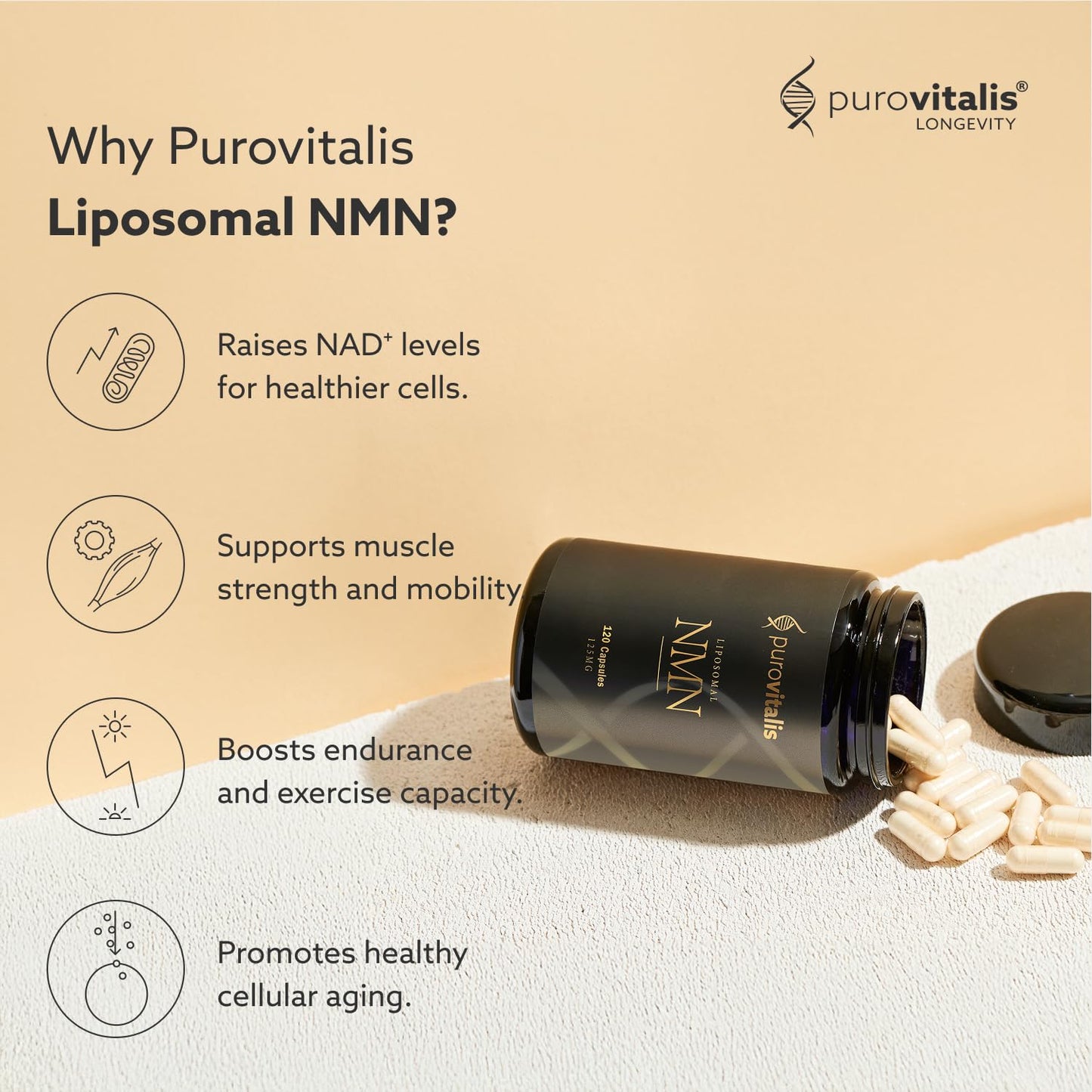 PUROVITALIS Liposomal NMN 250mg Nicotinamide Mononucleotide NAD+ Boost for Cellular Health & Healthy Aging, 120 Capsules