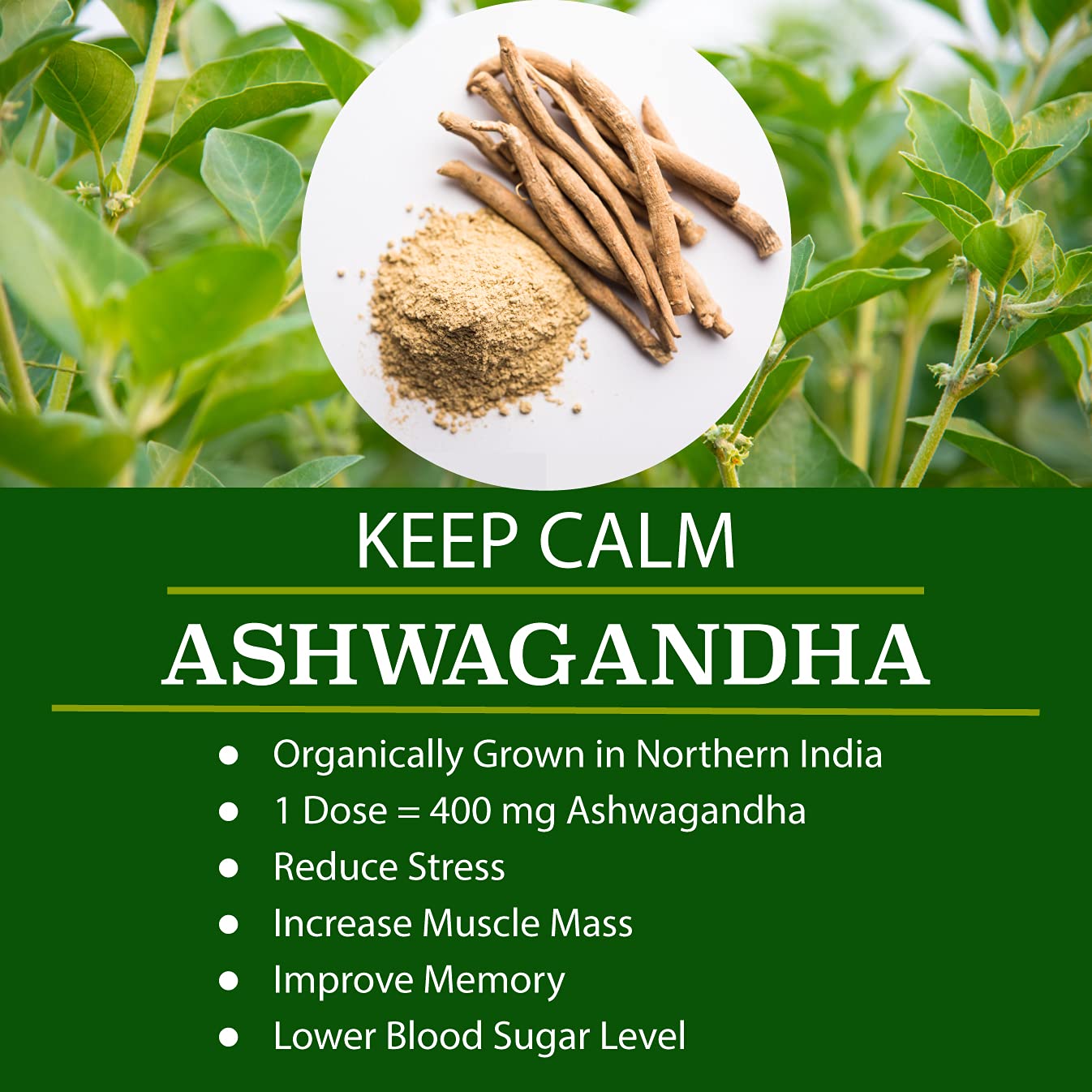 FOLONA Organic Vegan Super Greens Capsules with Ashwagandha - Immune Support with All Natural Whole Food Nutrients, 120 Capsules