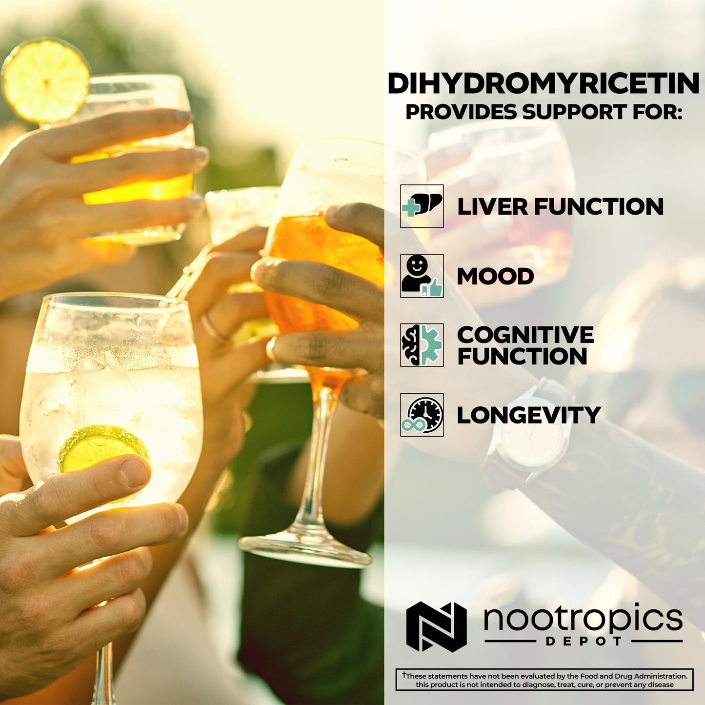 Nootropics Depot Dihydromyricetin (DHM) Capsules 60 Count