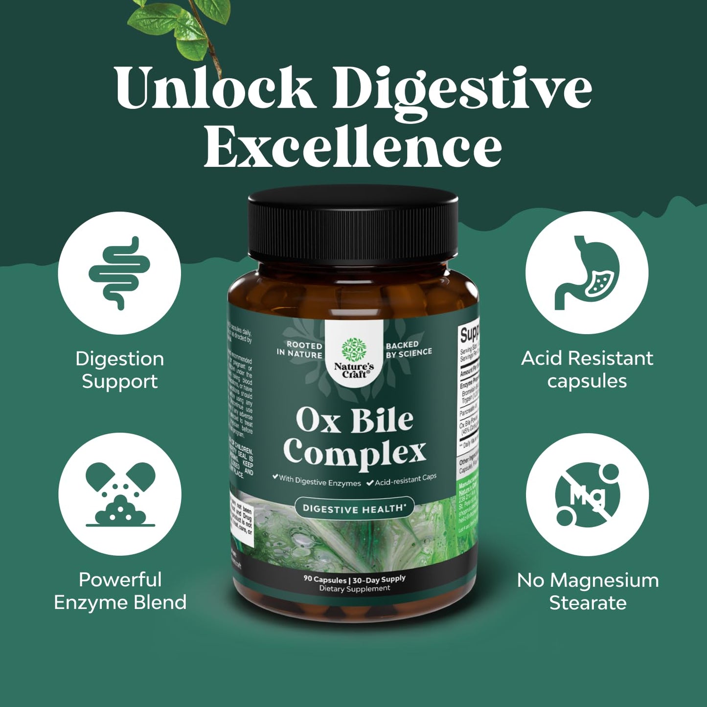 Natures Craft Digestive Enzymes with Ox Bile for No Gallbladder and Vitamin B6 Gummies Bundle, 120 Count