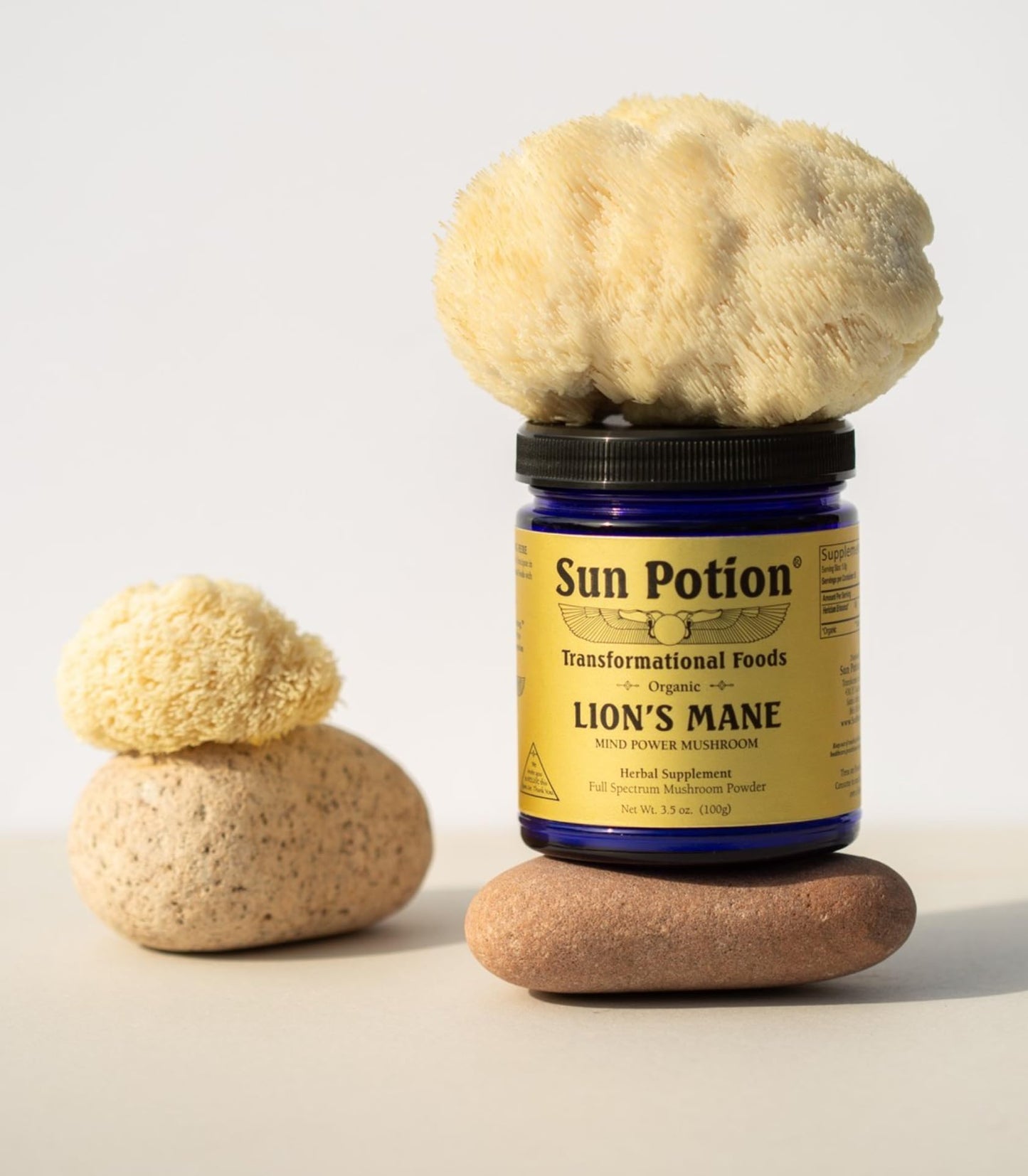 Sun Potion Lion's Mane Mind Power Mushroom Powder 3.5 Ounce