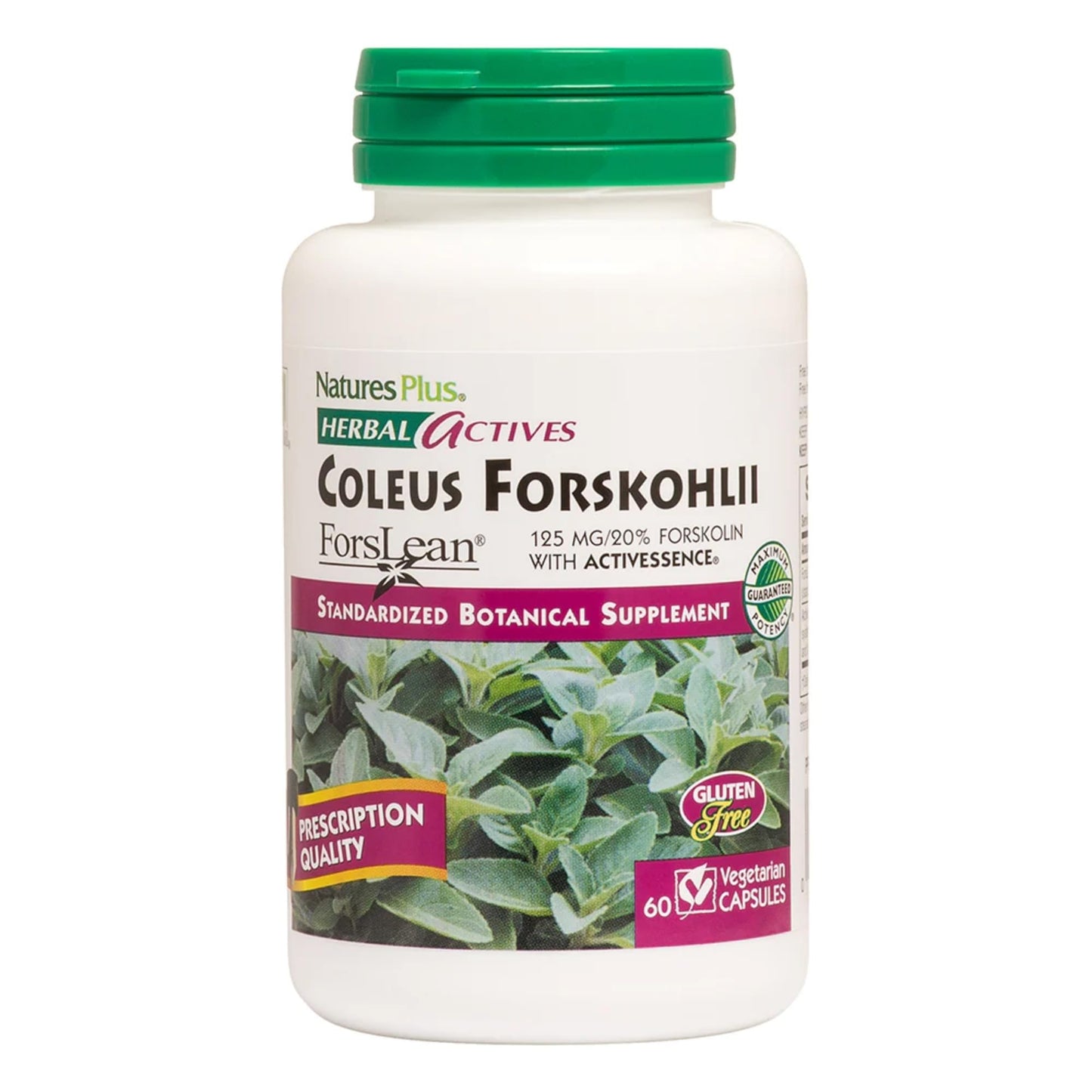 NaturesPlus Herbal Actives Coleus Forskohlii Capsules 60
