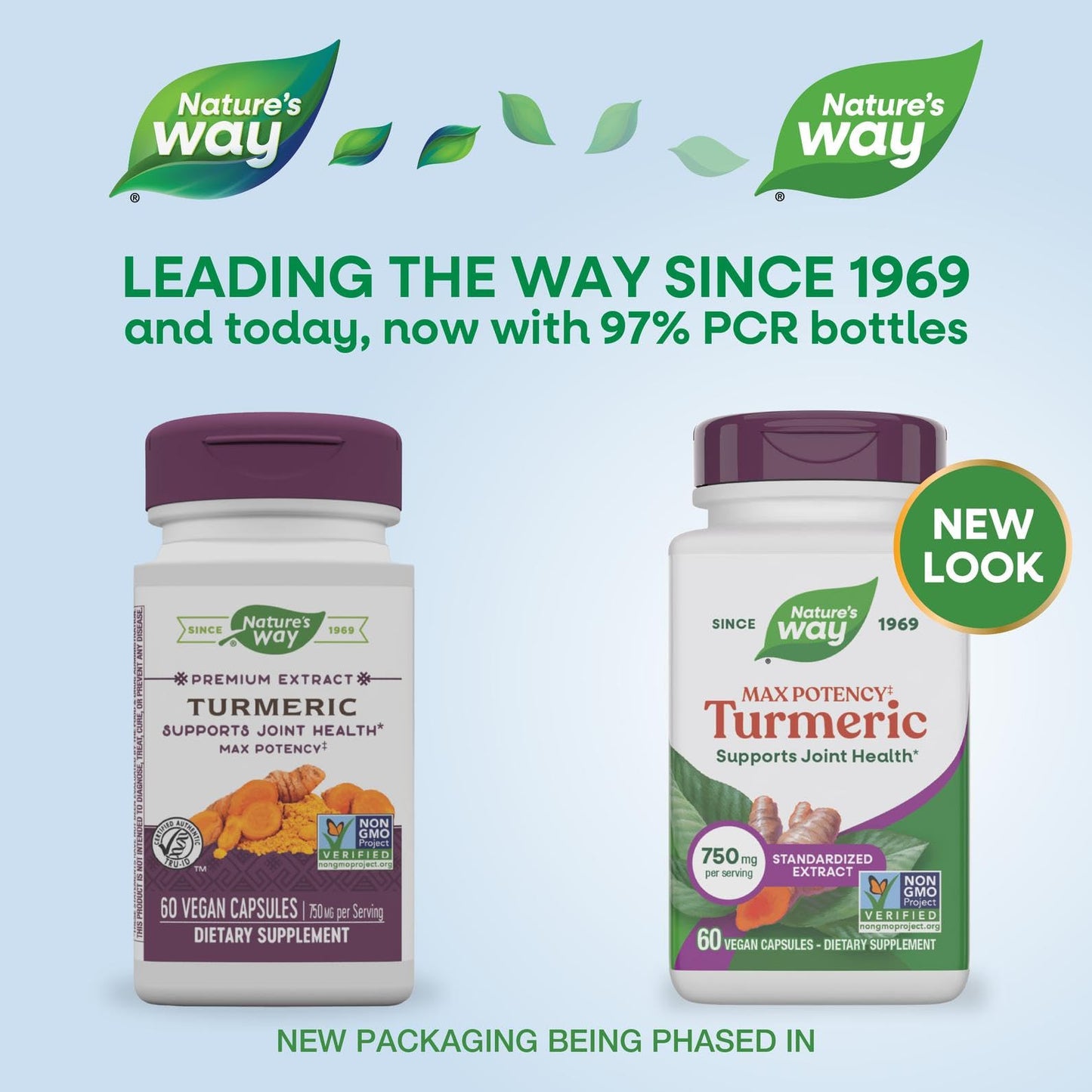 Nature's Way Max Potency Turmeric Premium Extract Capsules, 60 Count